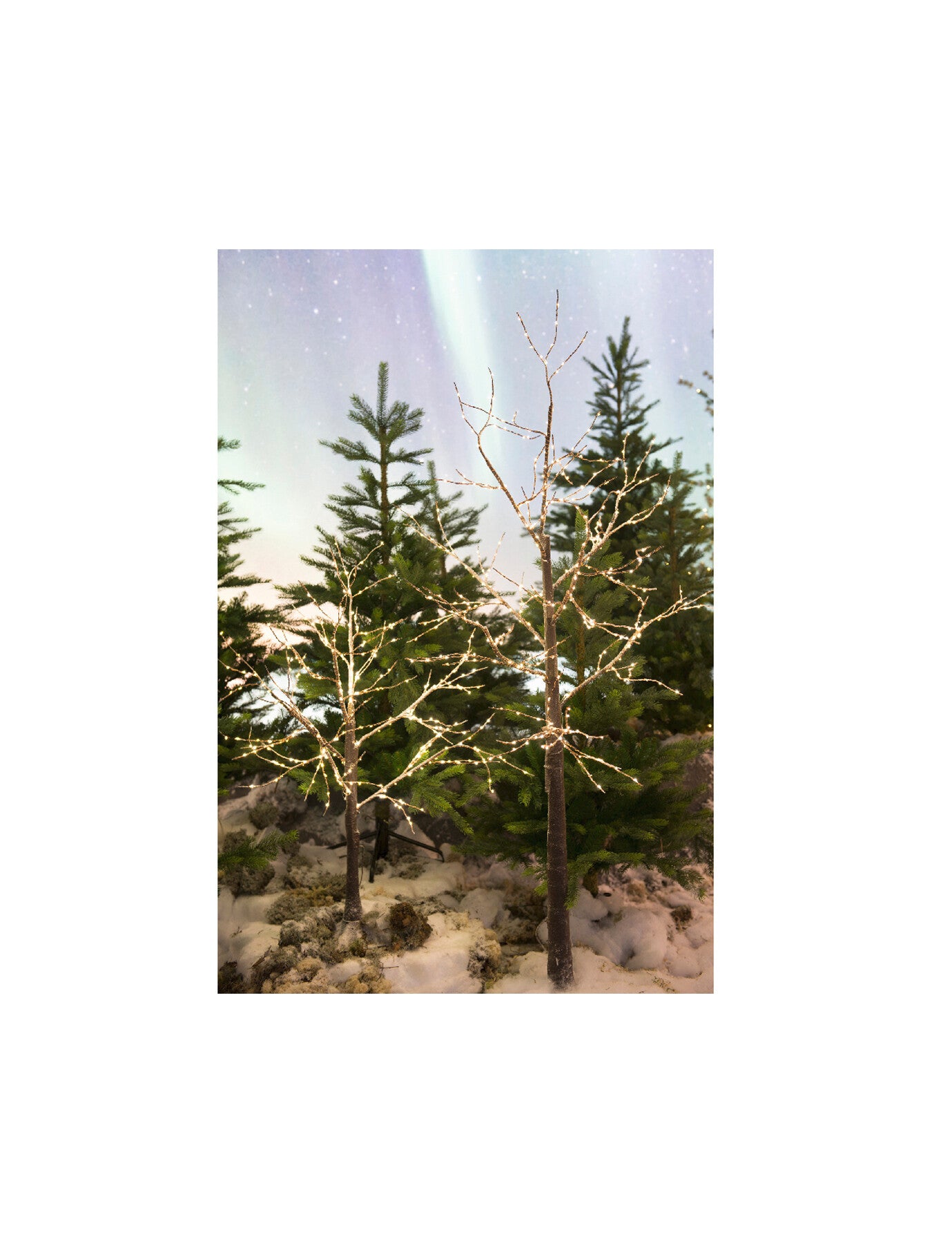 Micro Led Tree Branch Steady Outdoor Christmas Decoration