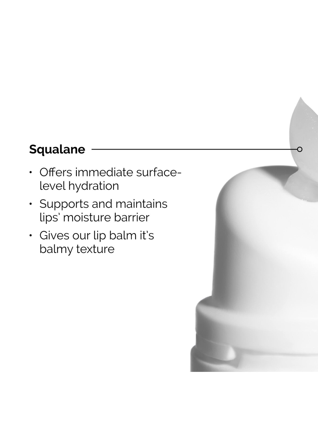 Squalane and Amino Acids Lip Balm