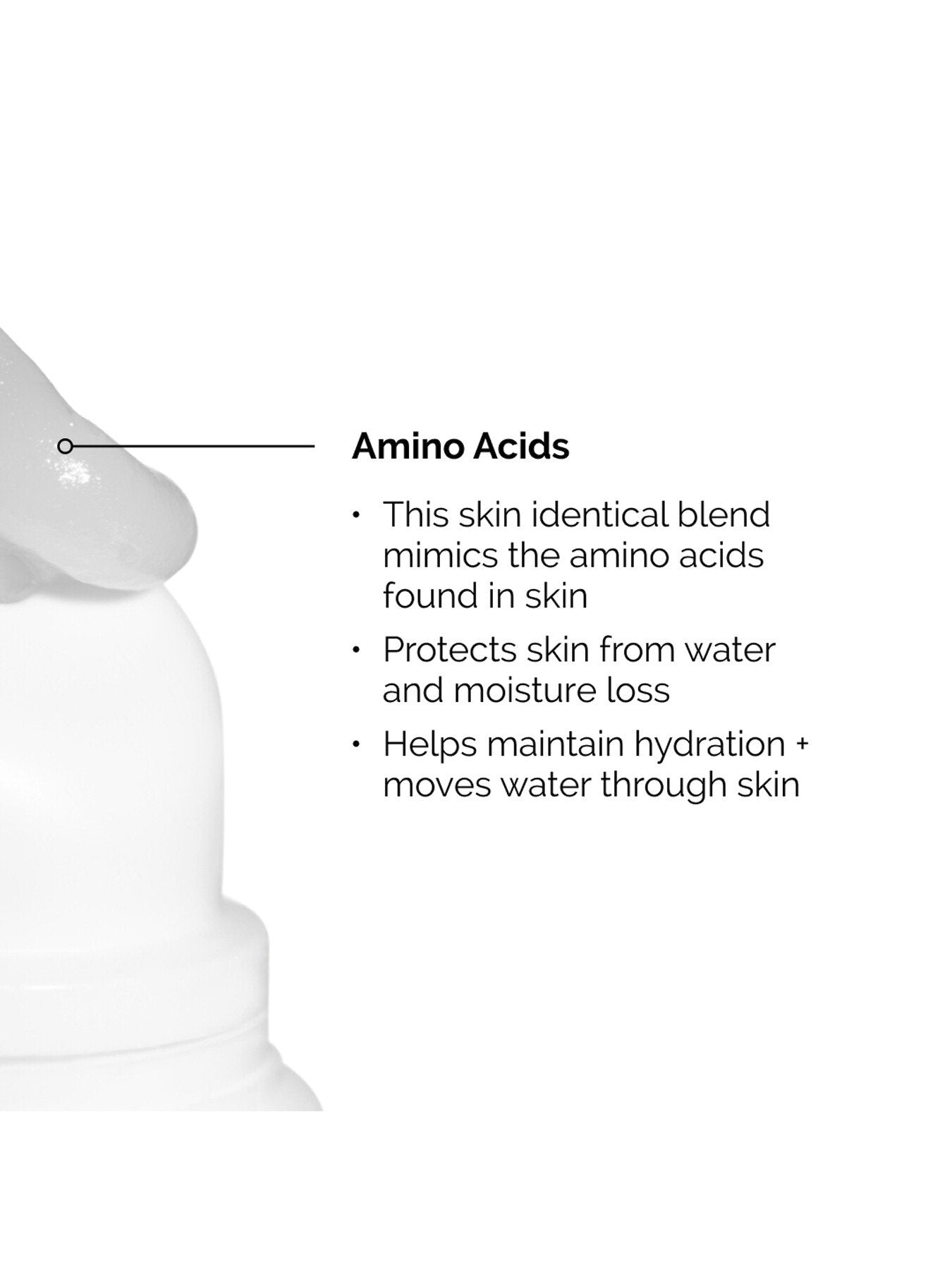 Squalane and Amino Acids Lip Balm