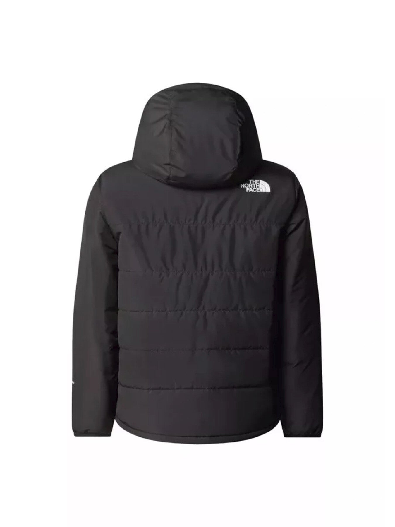 Boys Never Stop Synthetic Jacket