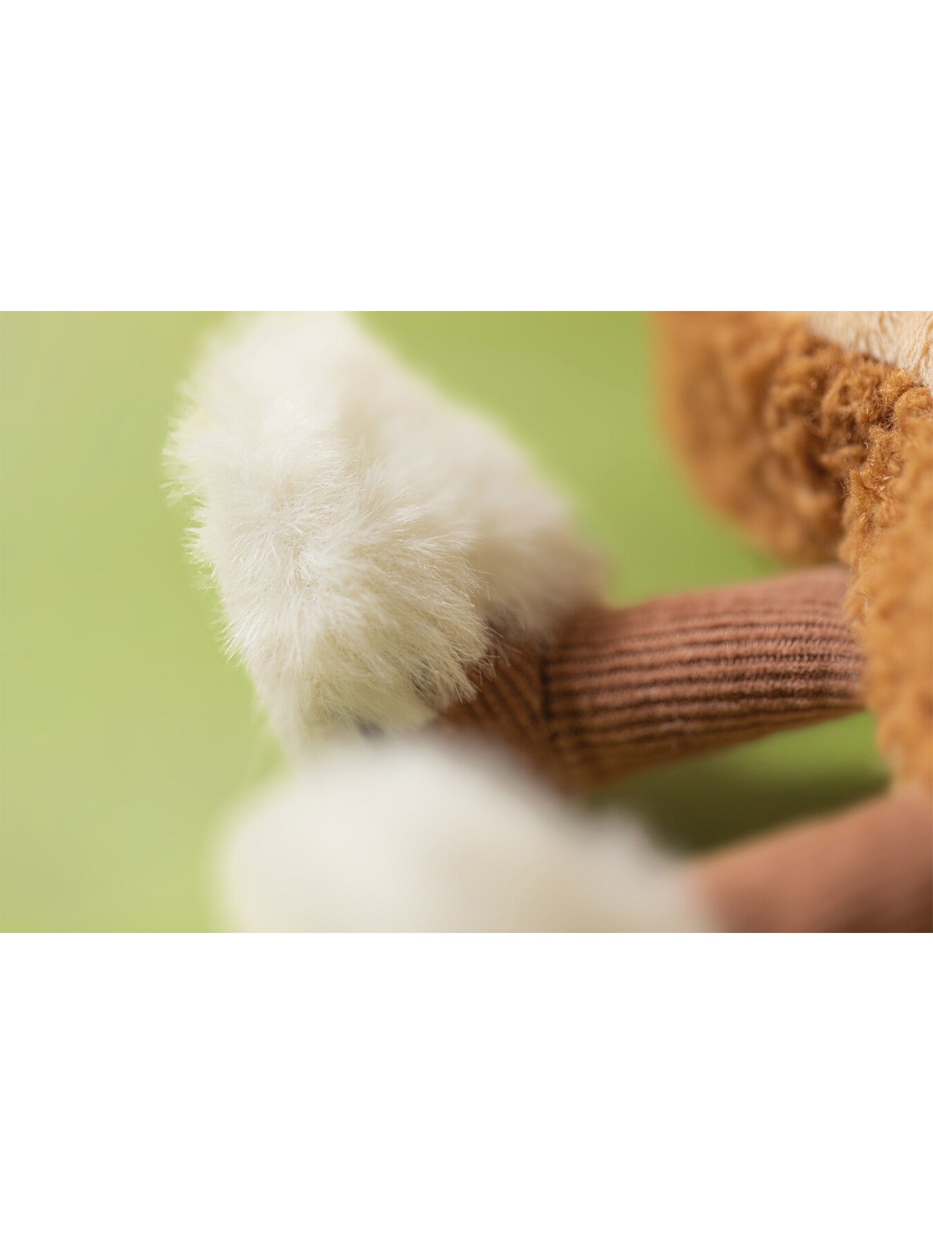 Amuseables Egglantine Egg on Toast