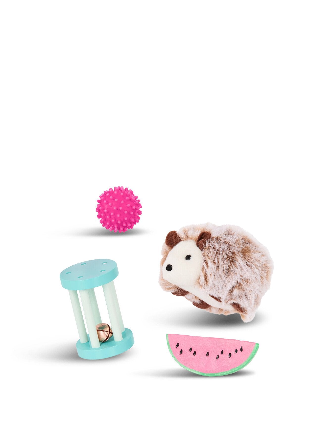 Pet Hedgehog Set
