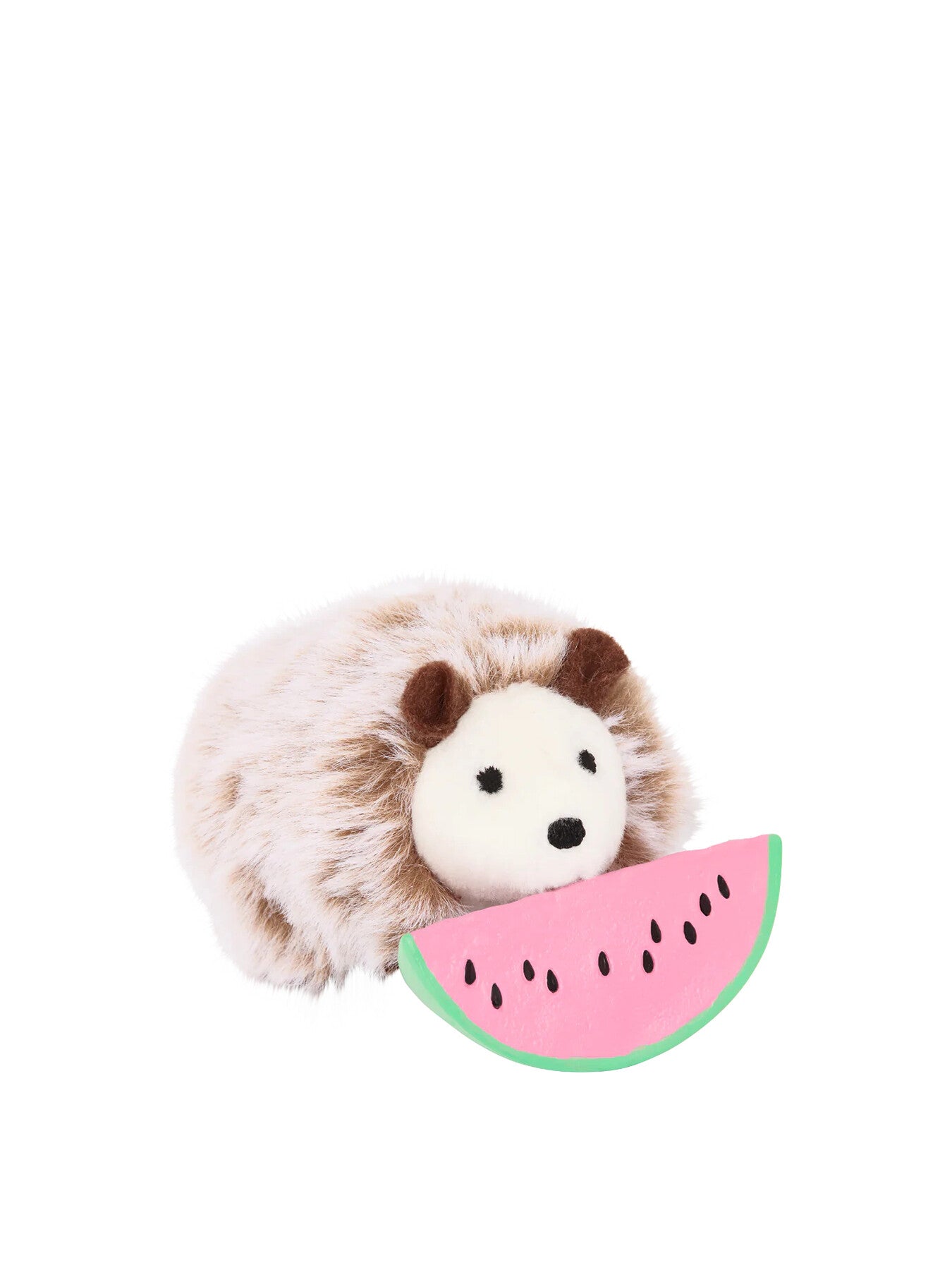 Pet Hedgehog Set