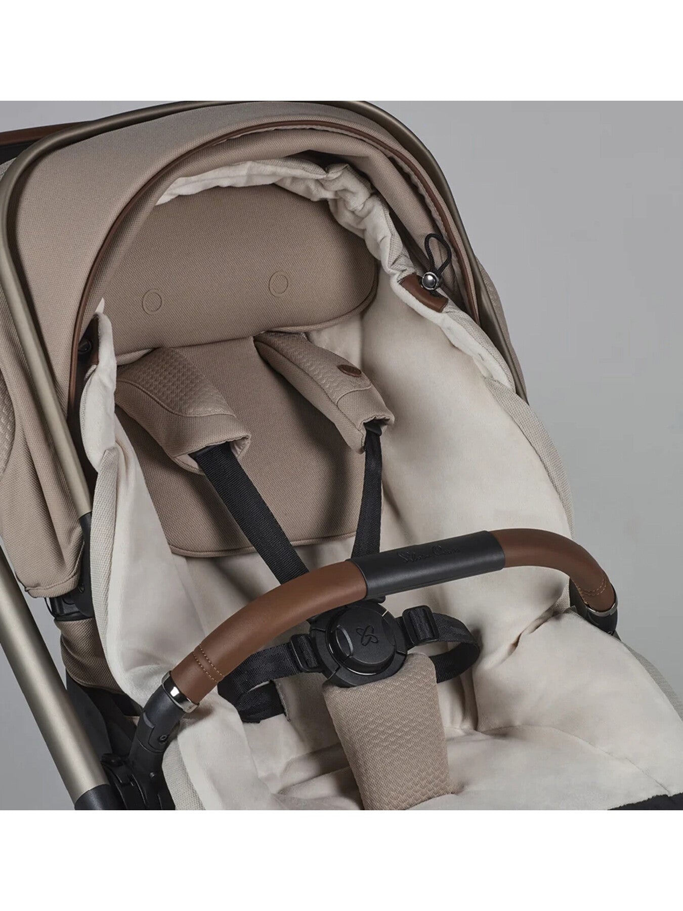 Special Edition Reef