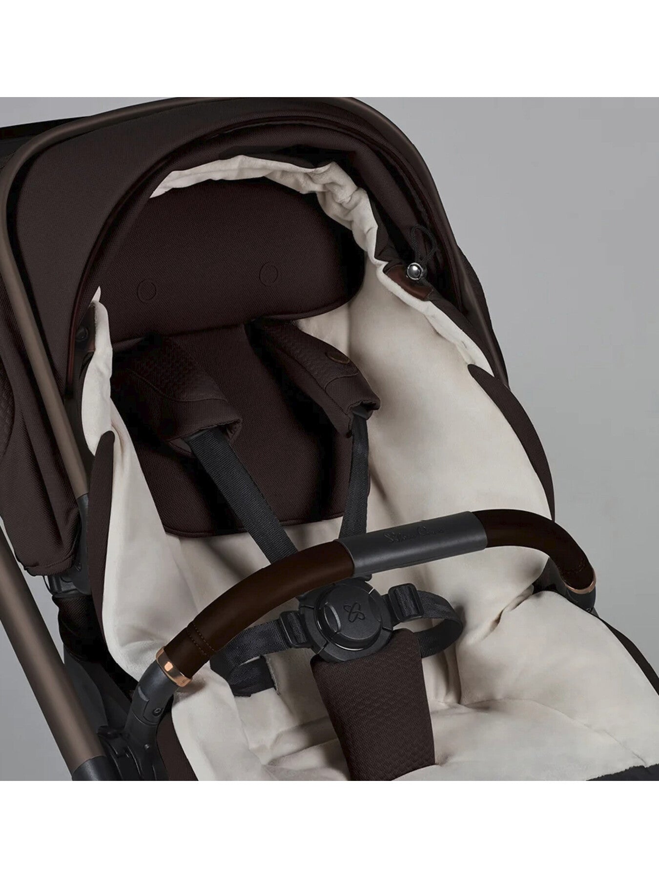 Special Edition Reef