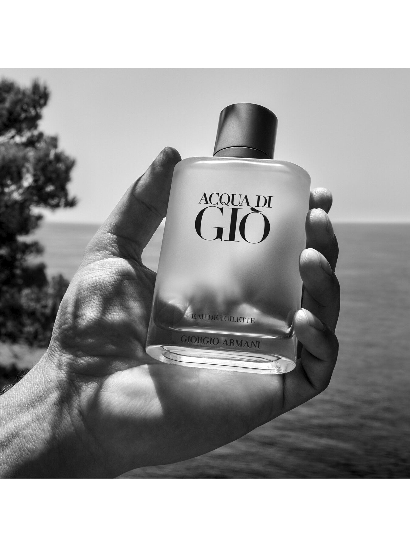 Acqua Di Gio Eau de Toilette 50ml – Fenwick