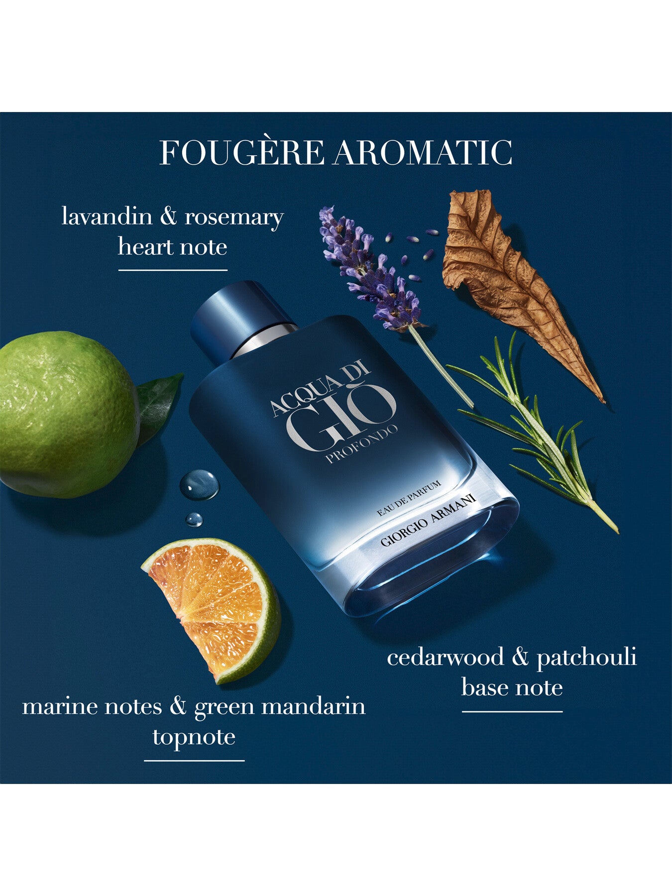 Acqua di Giò Profondo Eau de Parfum 50ml