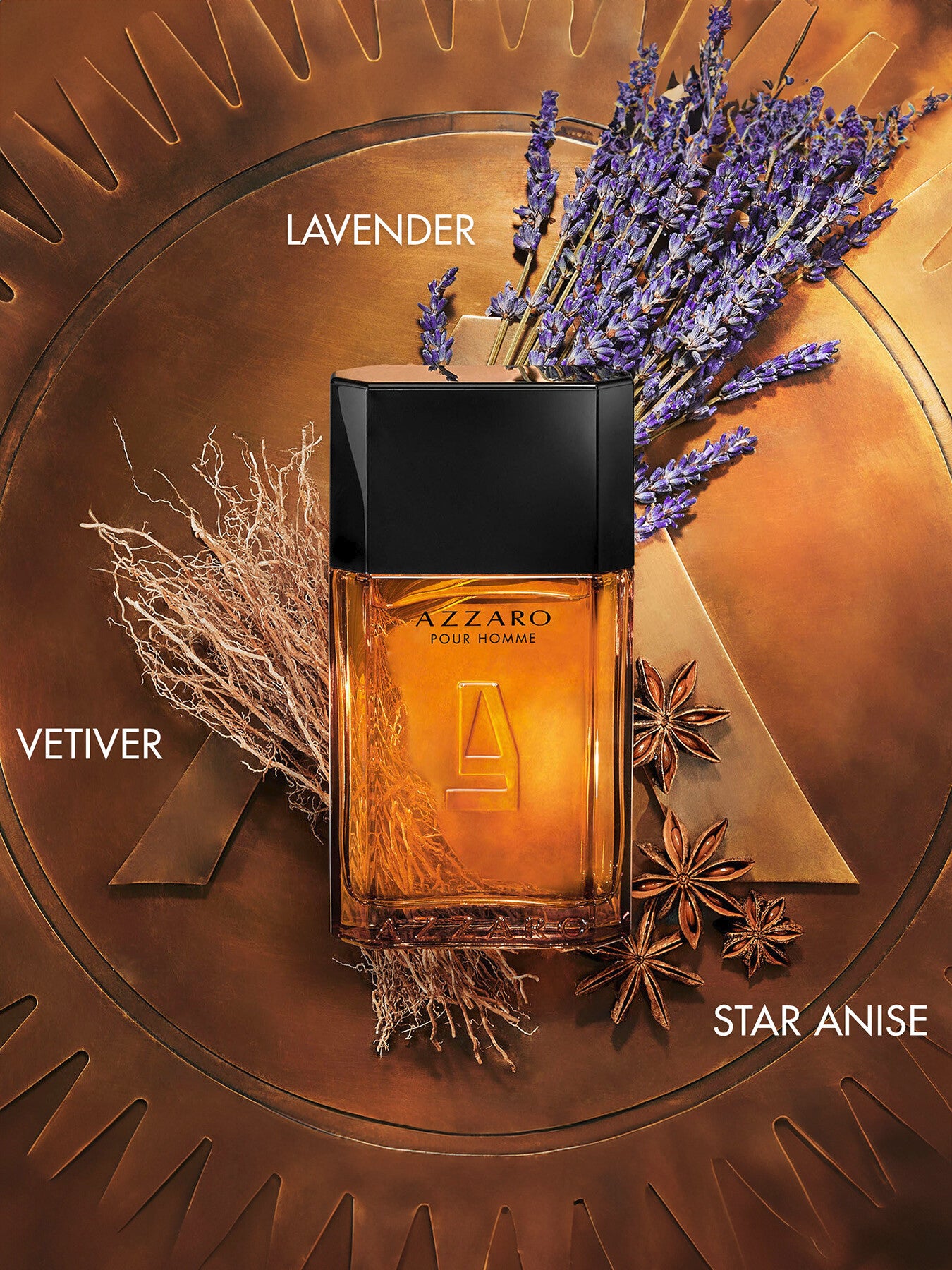 Azzaro Pour Homme Eau de Toilette 100ml