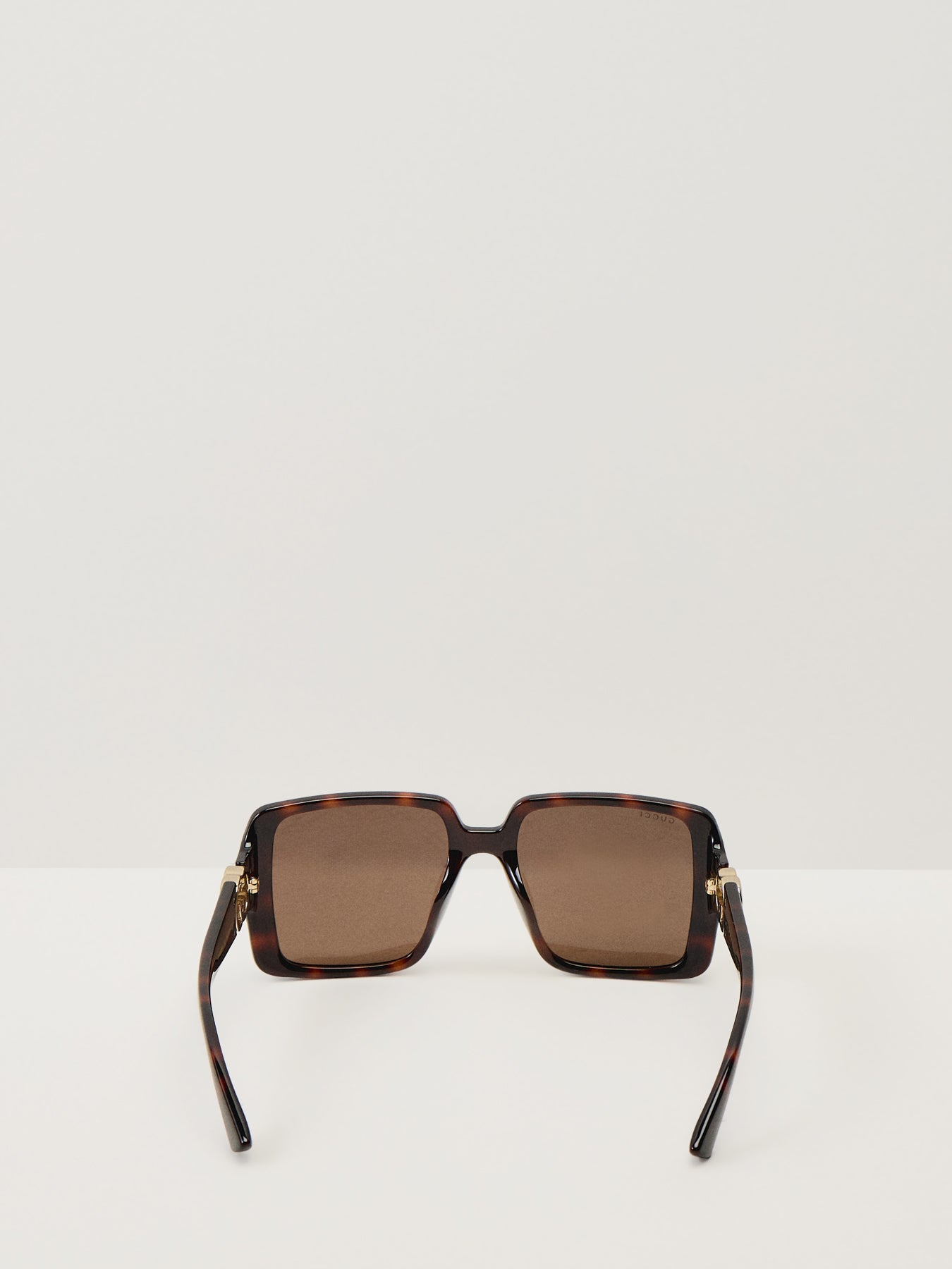 Gucci GG1692SA Acetate Sunglasses