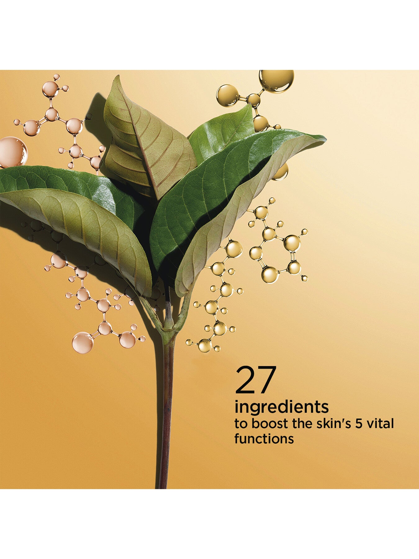 Double Serum 30ml
