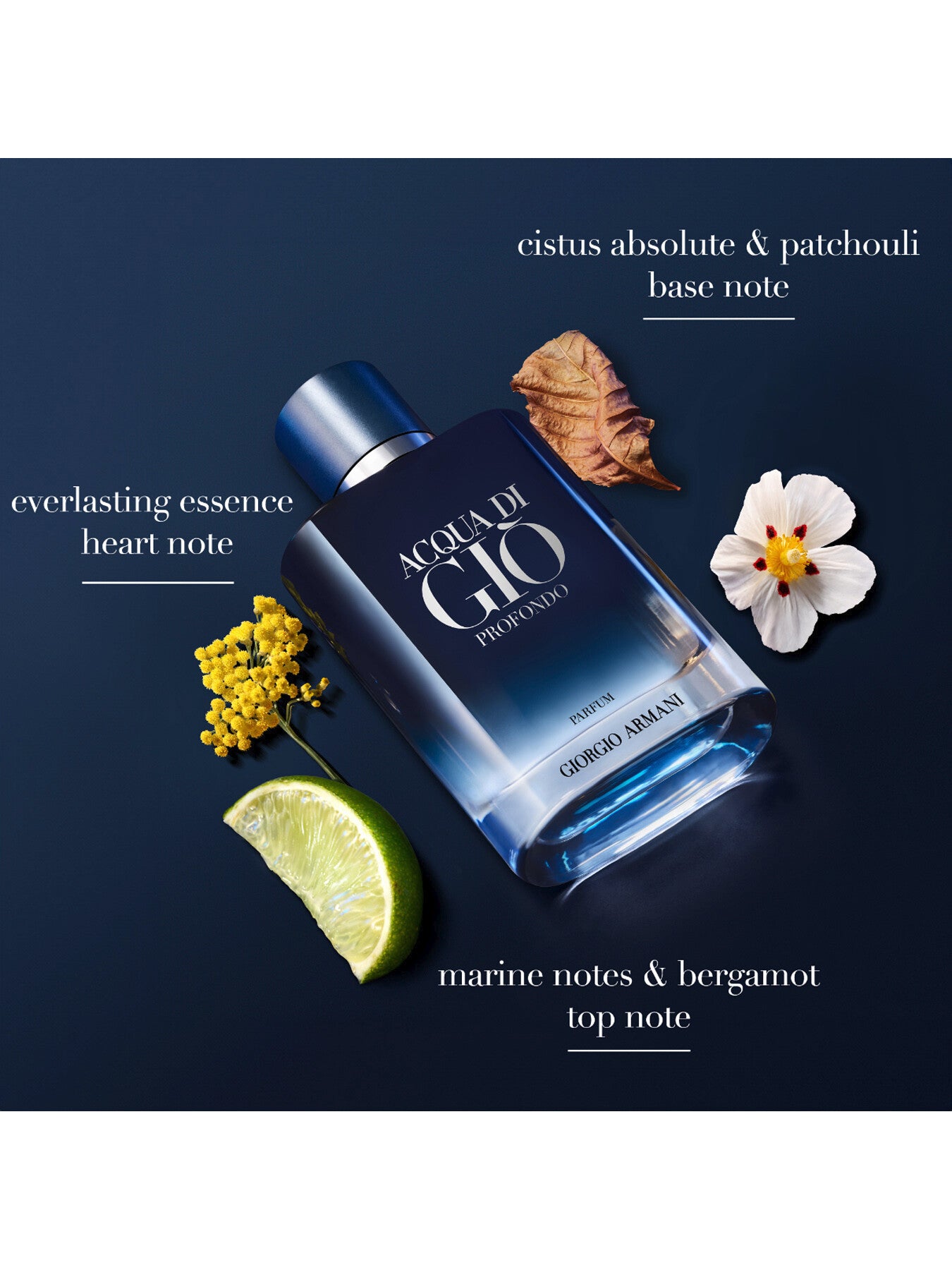 Acqua Di Gio Profondo Parfum 100ml
