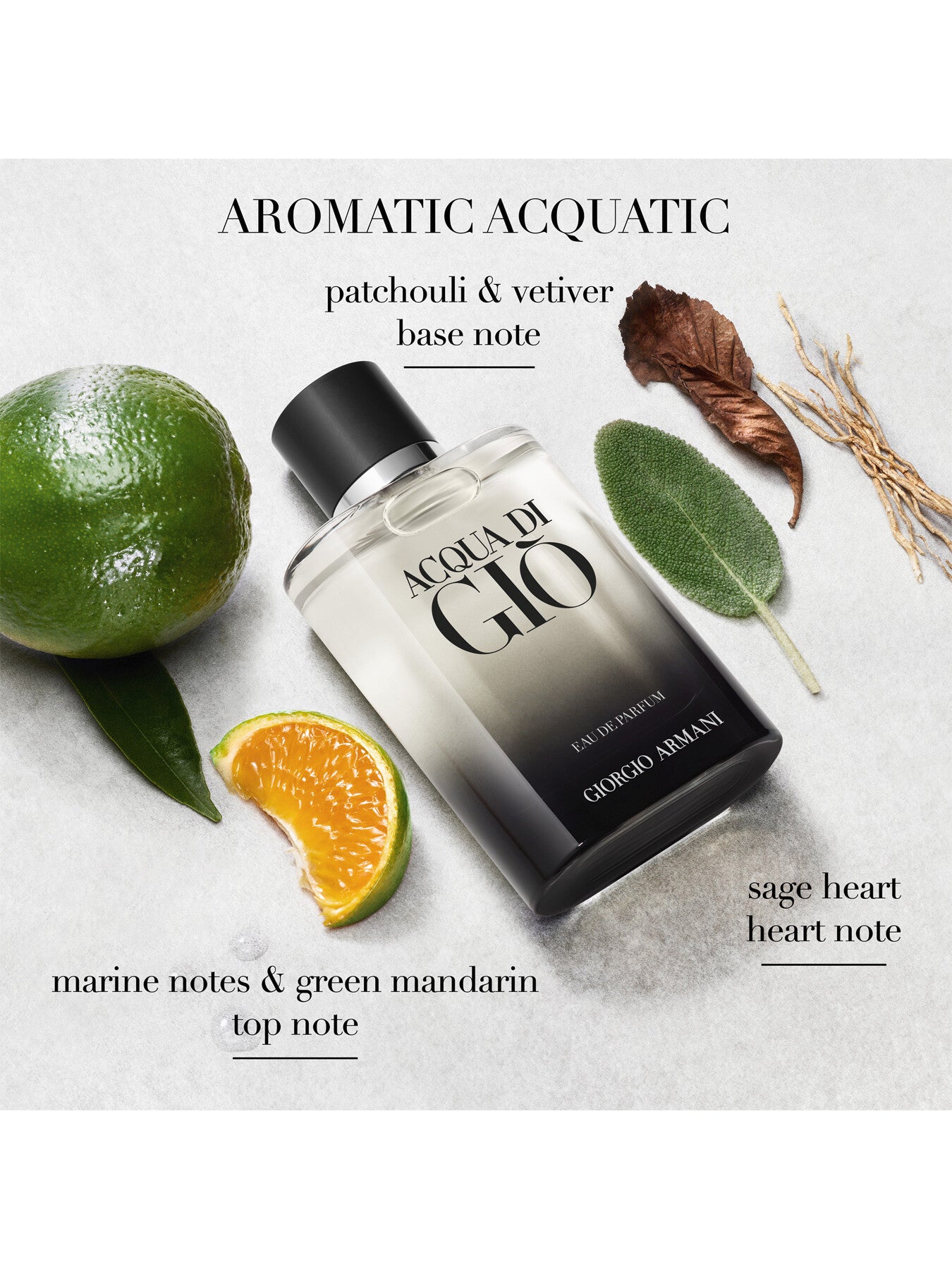 Acqua Di Gio Eau de Parfum 200ml