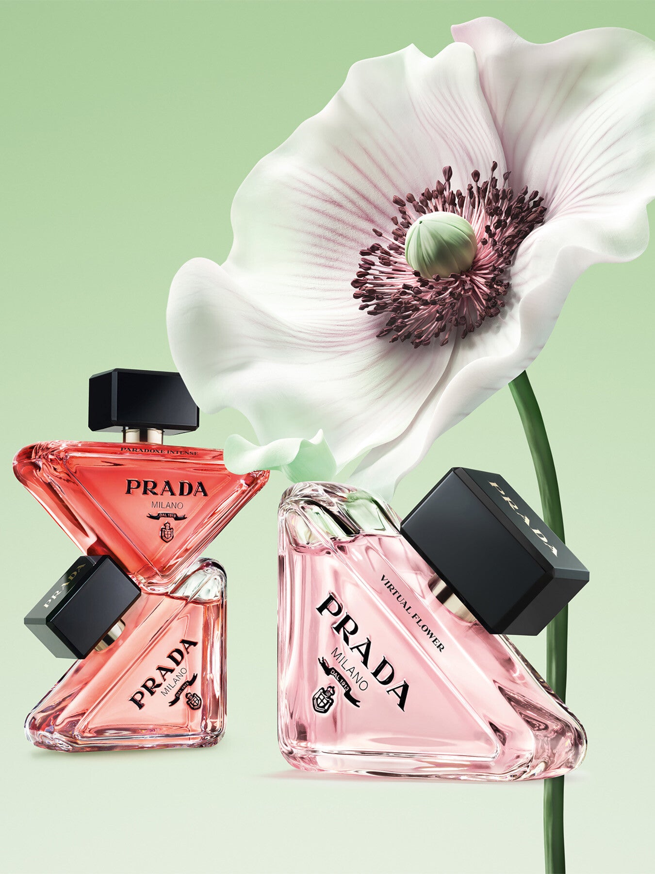 Paradoxe Virtual Flower Eau de Parfum 50ml – Fenwick