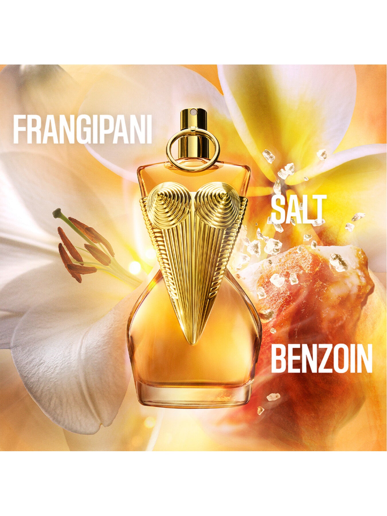 Gaultier Divine Le Parfum Eau de Parfum Intense 100ml