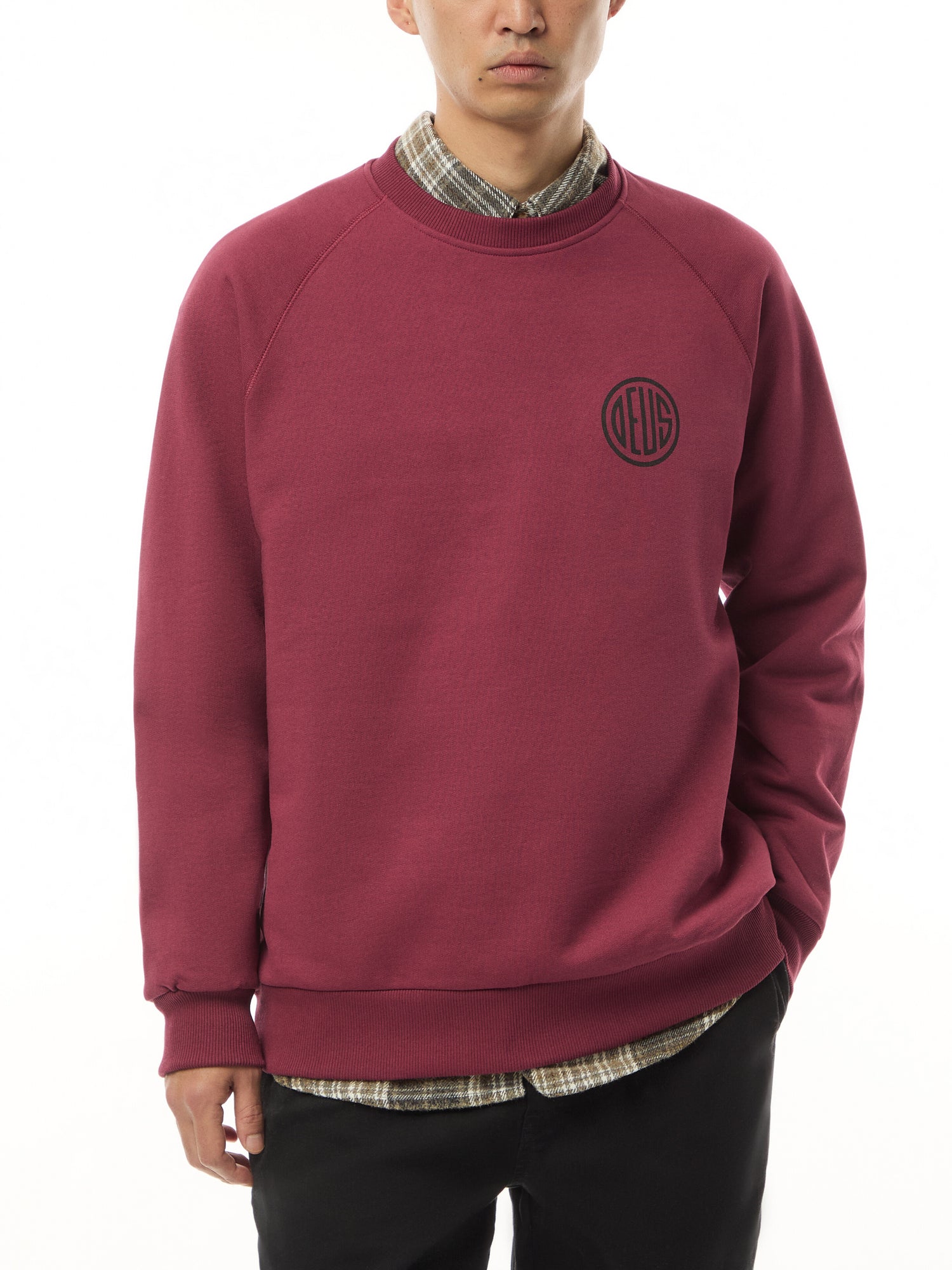 Pill Logo Crew Neck Sweatshirt