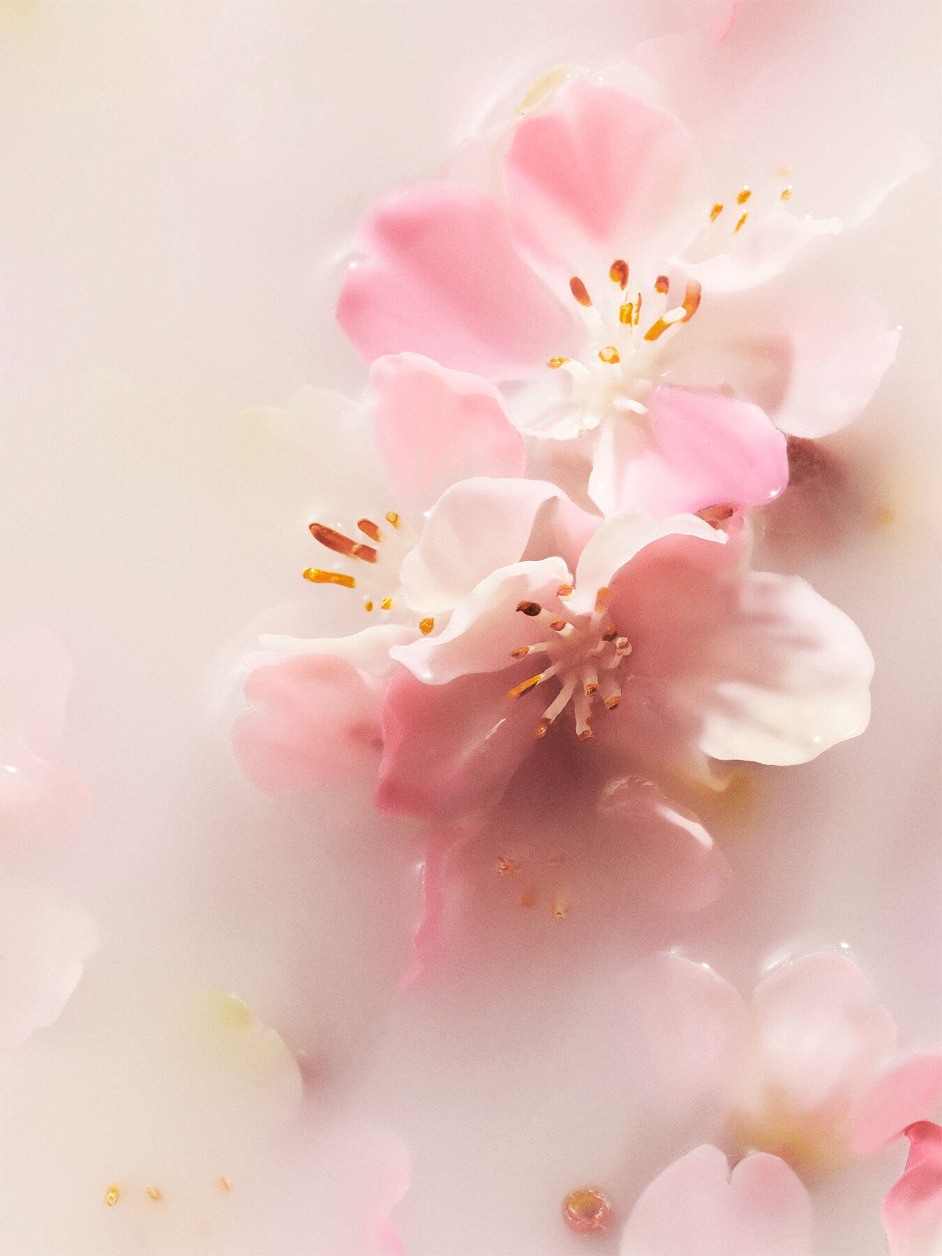 The Ritual of Sakura - Large Gift Set