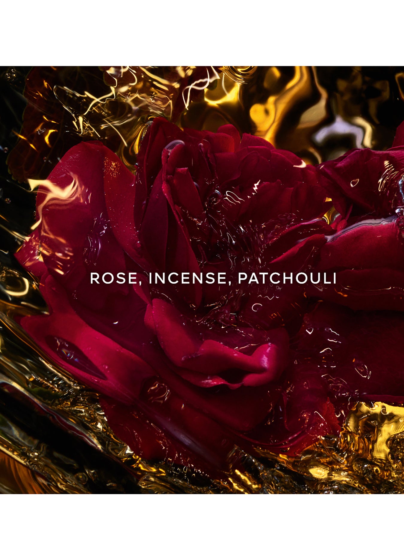Absolus Allegoria Rose Amira Eau de Parfum