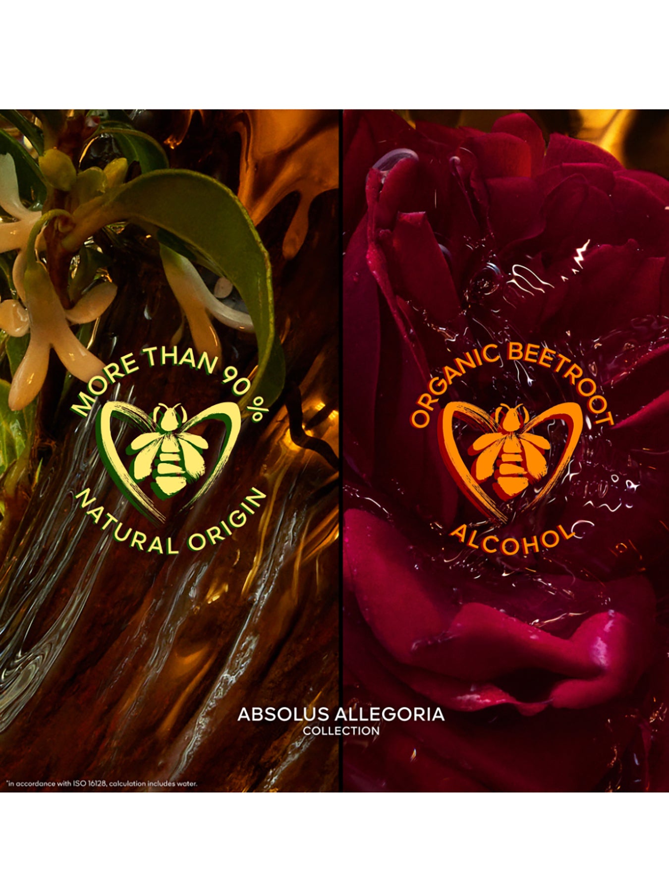 Absolus Allegoria Rose Amira Eau de Parfum