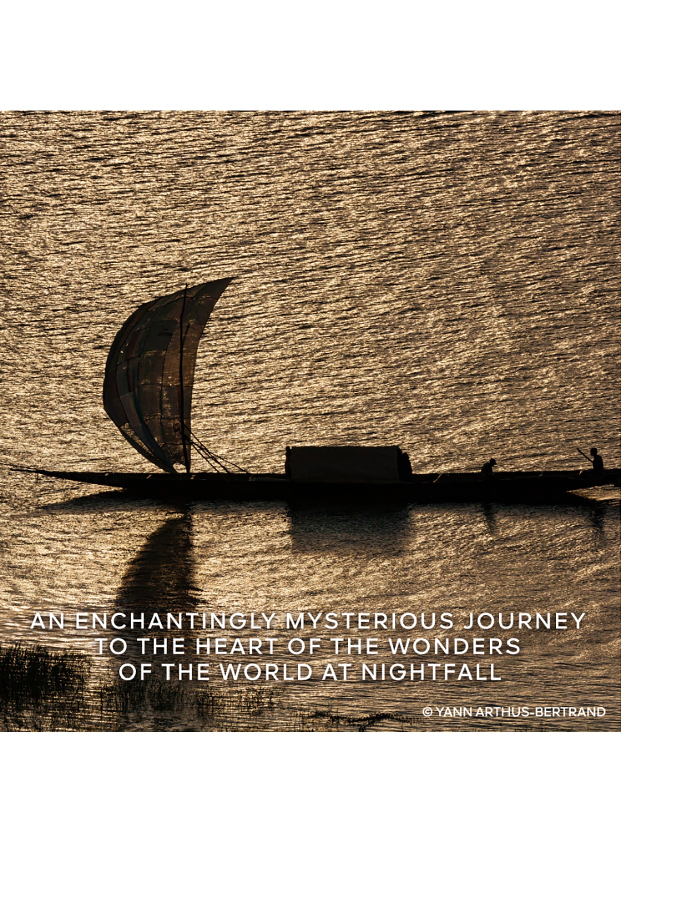 Absolus Allegoria Rose Amira Eau de Parfum