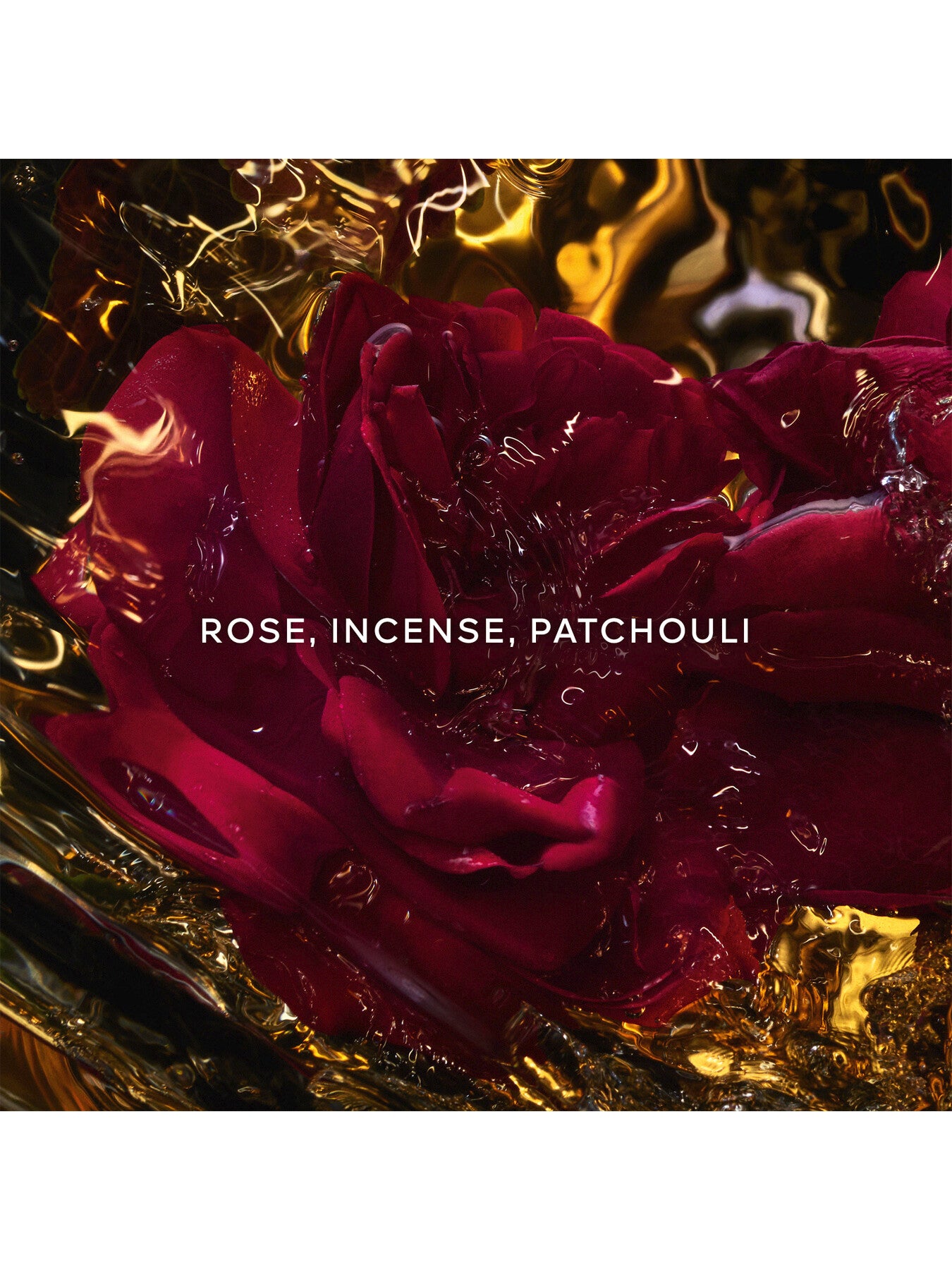 Absolus Allegoria Rose Amira Eau de Parfum
