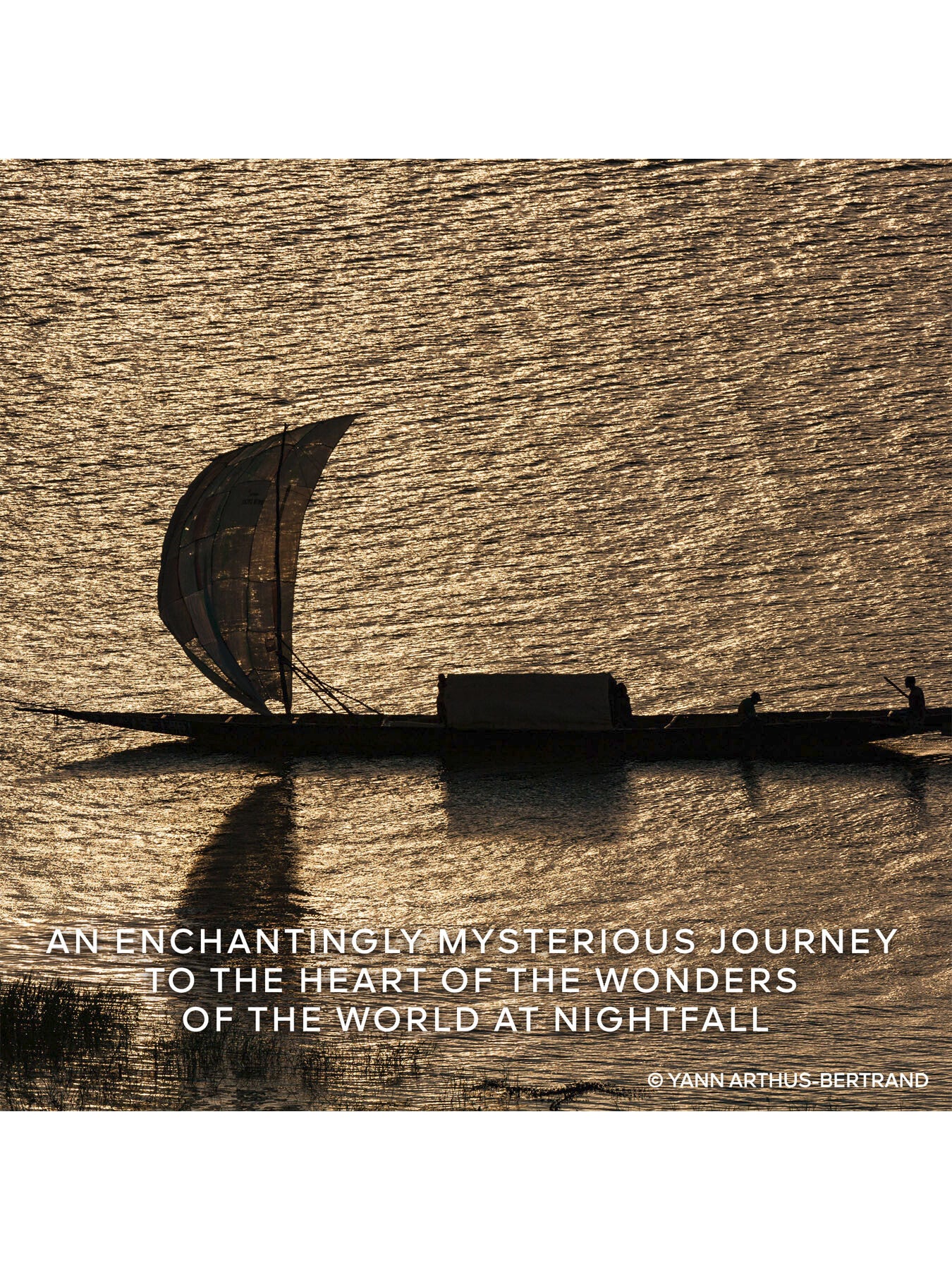 Absolus Allegoria Rose Amira Eau de Parfum