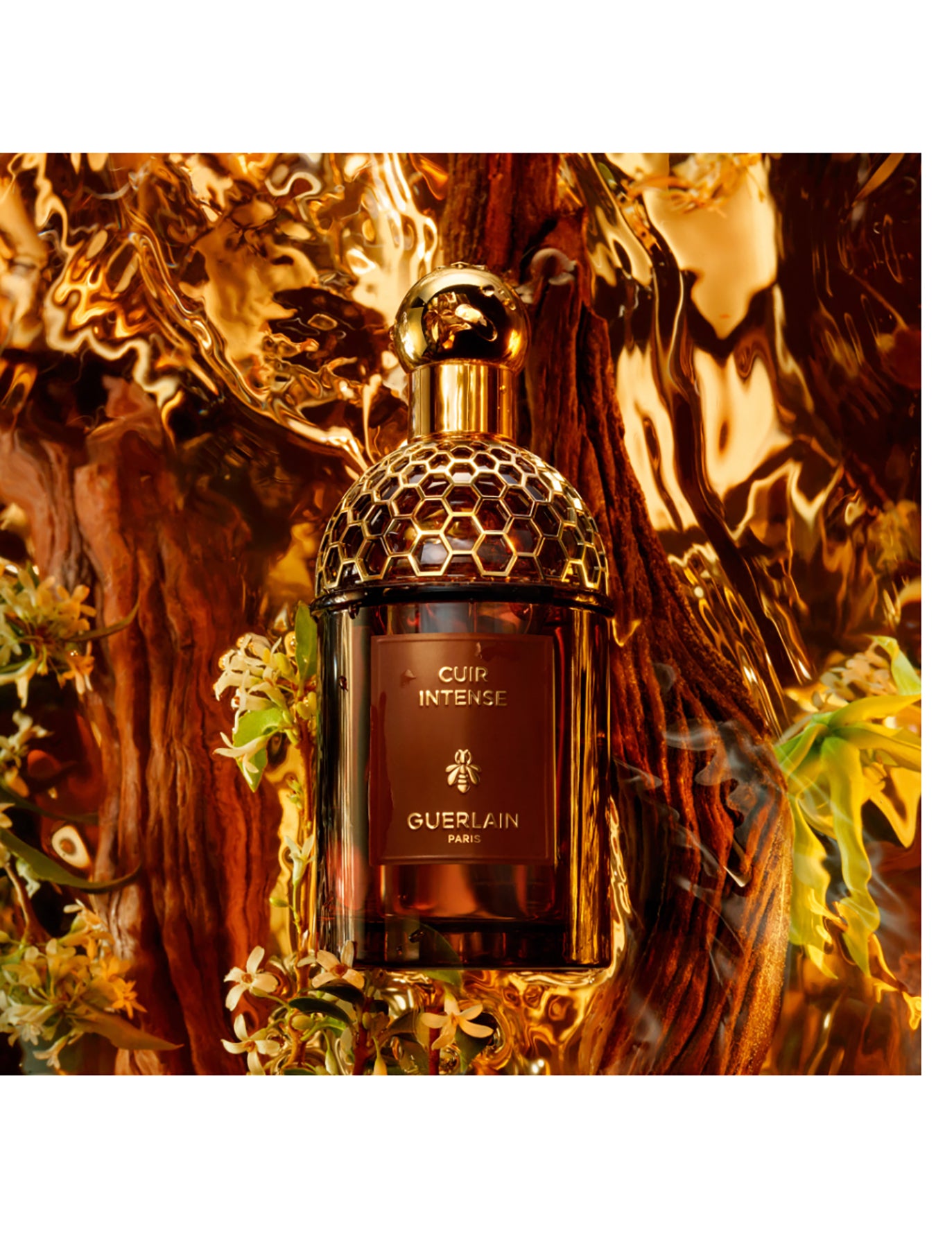 Absolus Allegoria Cuir Intense Eau de Parfum