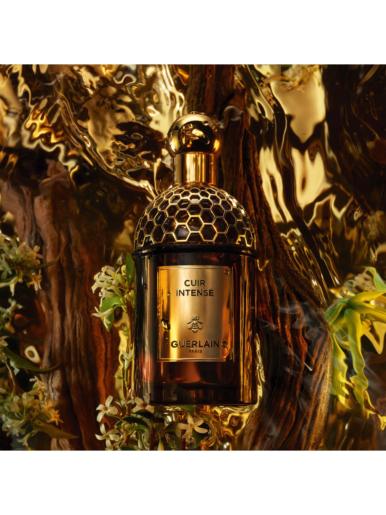 Absolus Allegoria Cuir Intense Eau de Parfum