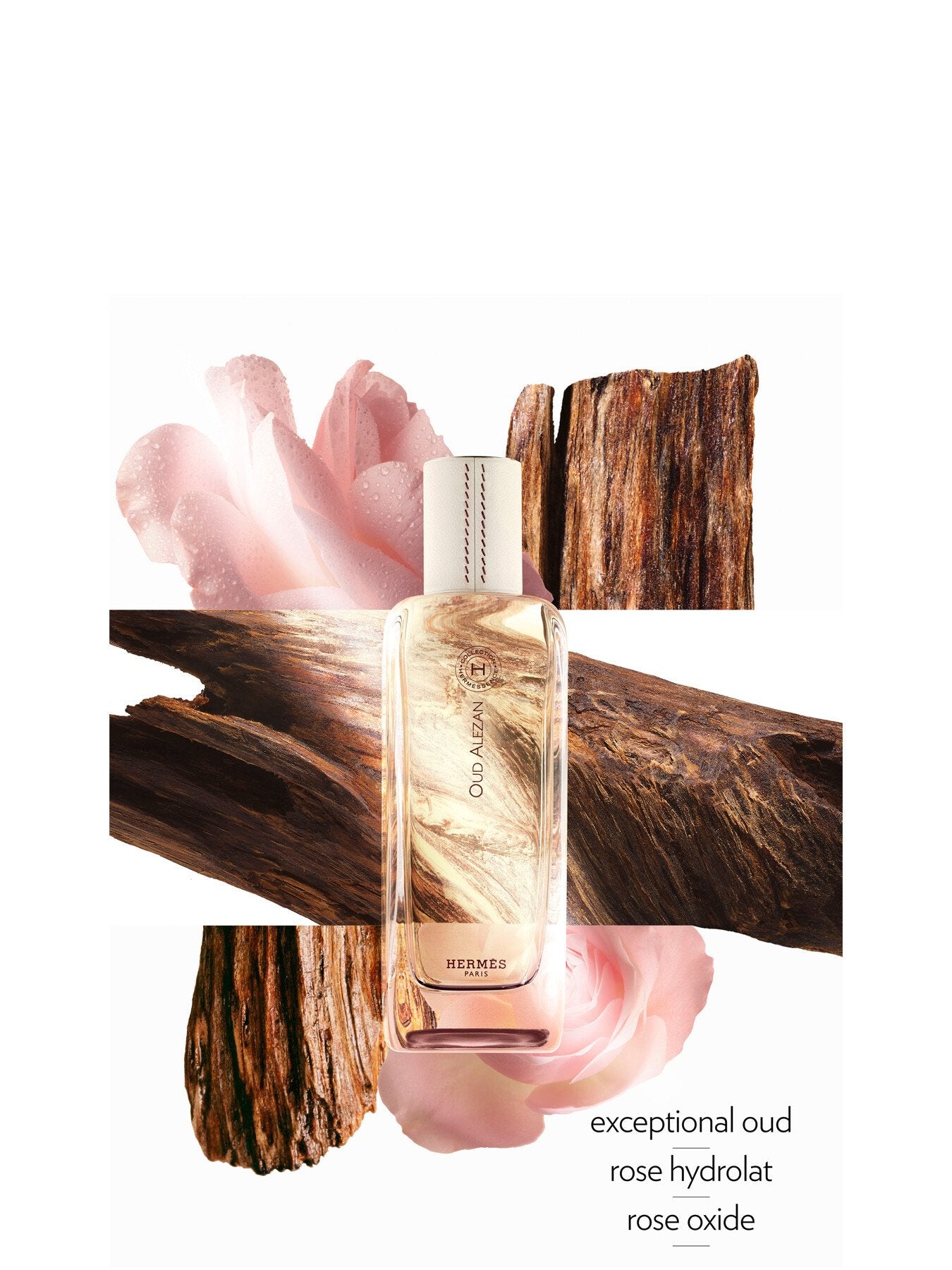 Hermessence Oud Alezan Eau de Parfum 100ml