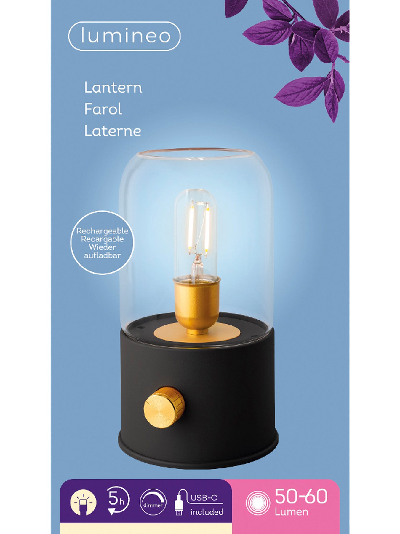 Outdoor Camp Light Rechargeable LED