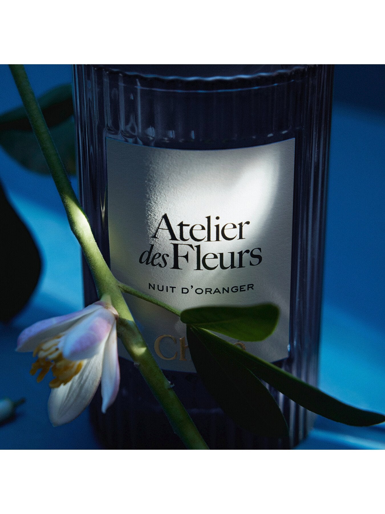 Atelier des Fleurs Nuit d'Oranger Eau de Parfum 150ml