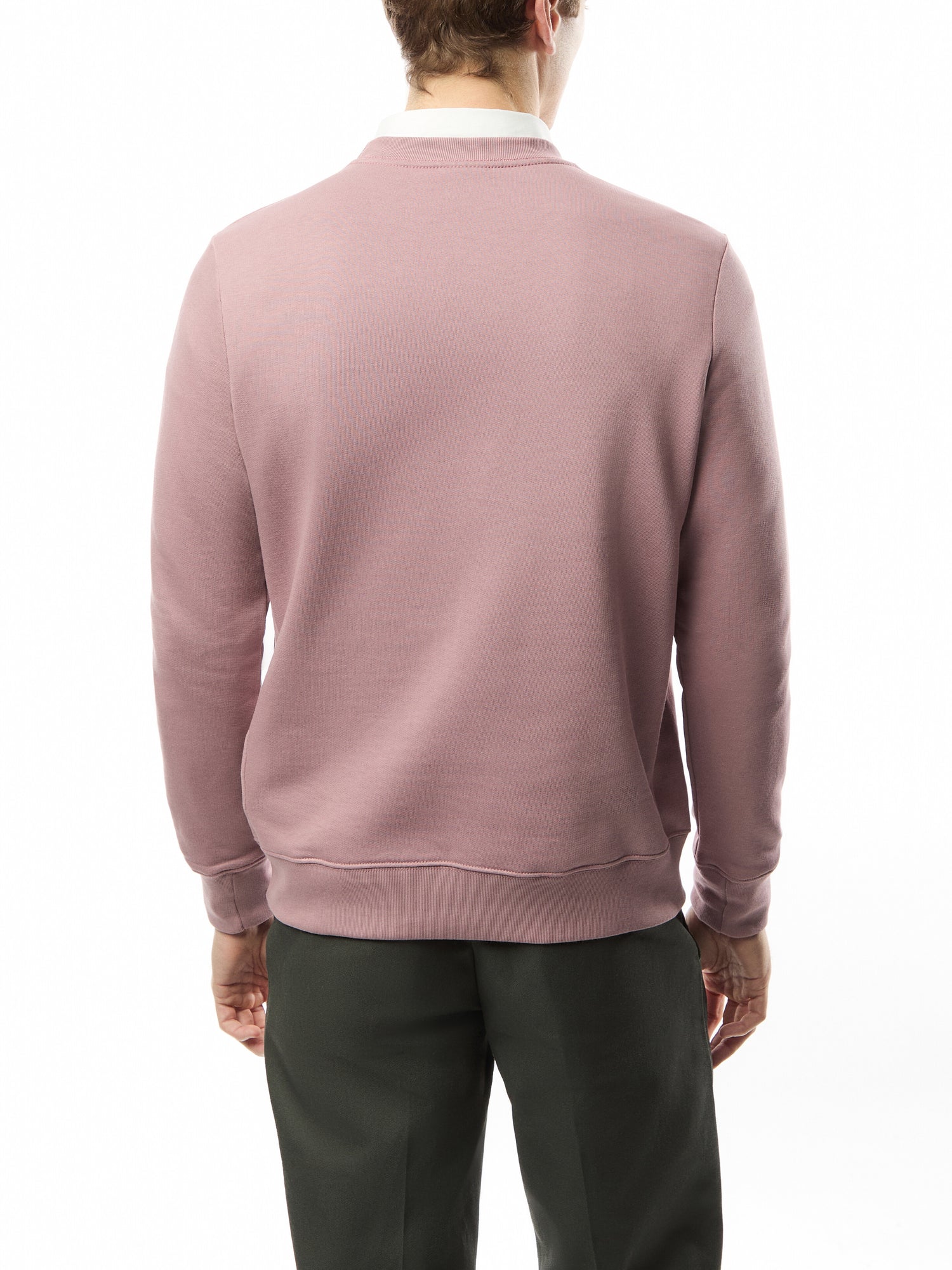 Zebra Logo Organic Cotton Sweatshirt