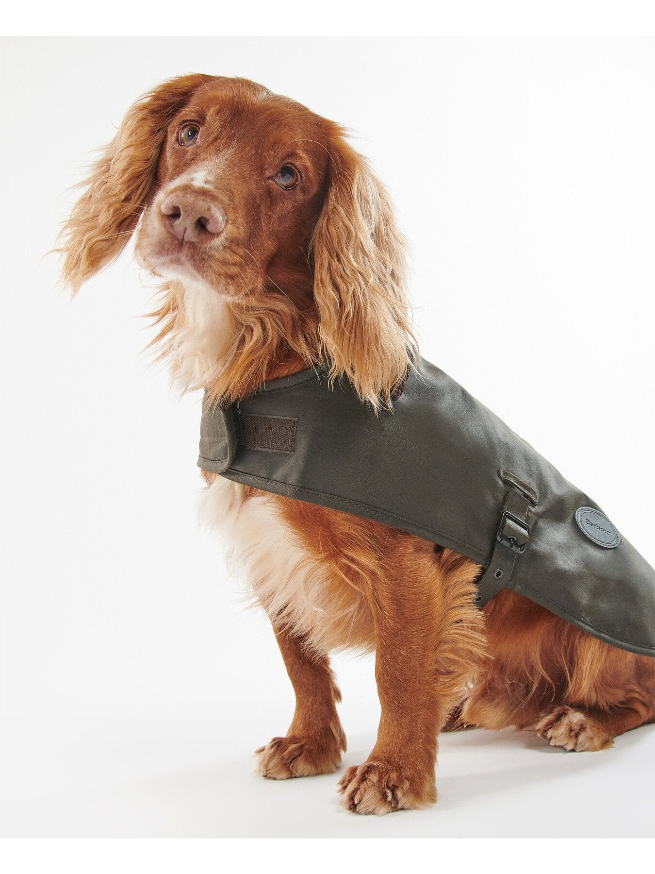 Wax Dog Coat Olive Large