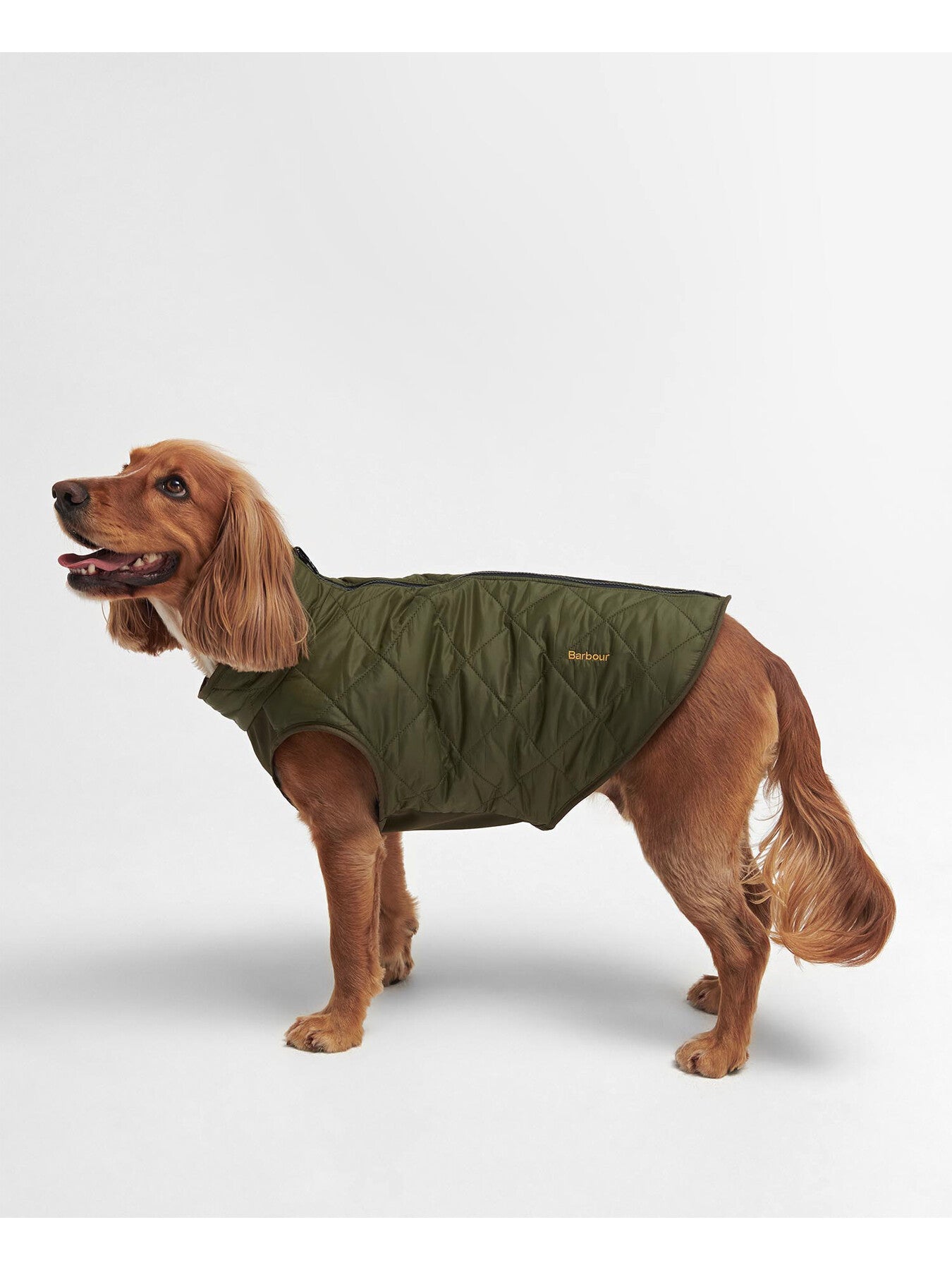 Reversible Quilt/ Borg Fleece Dog Coat Olive Medium