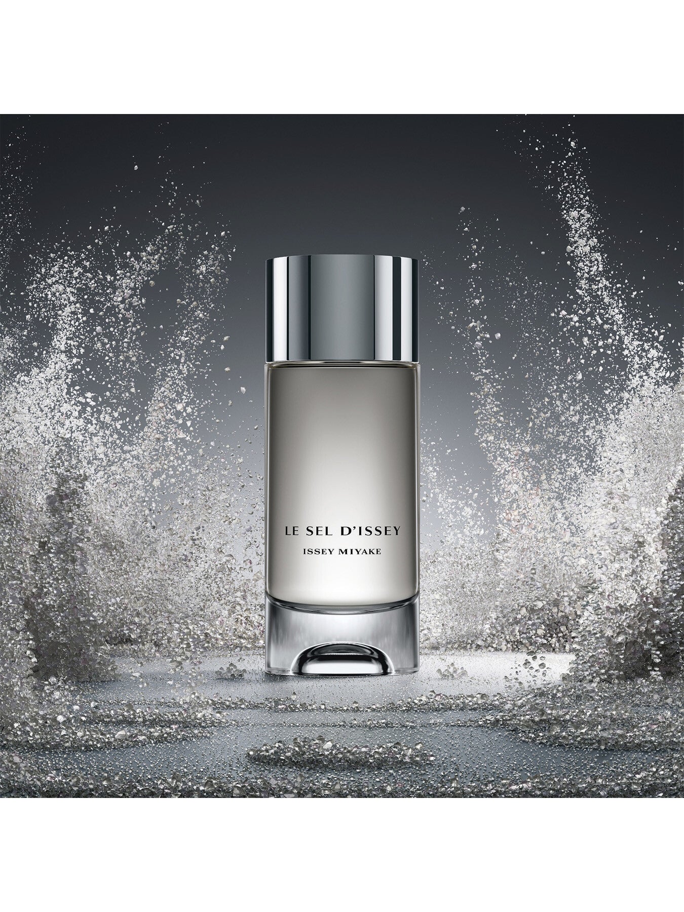 Le Sel d'Issey Eau de toilette 100ml