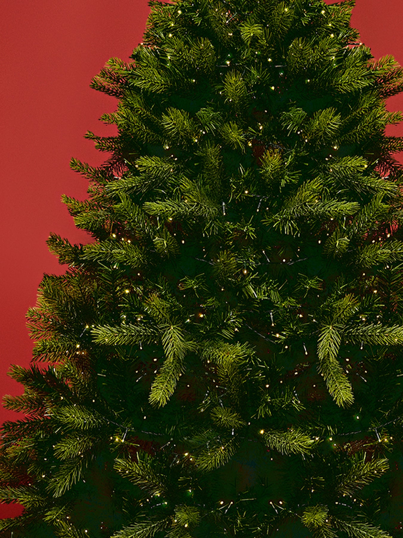 Surrey Fir Pvc Christmas Tree Led Lit 6ft