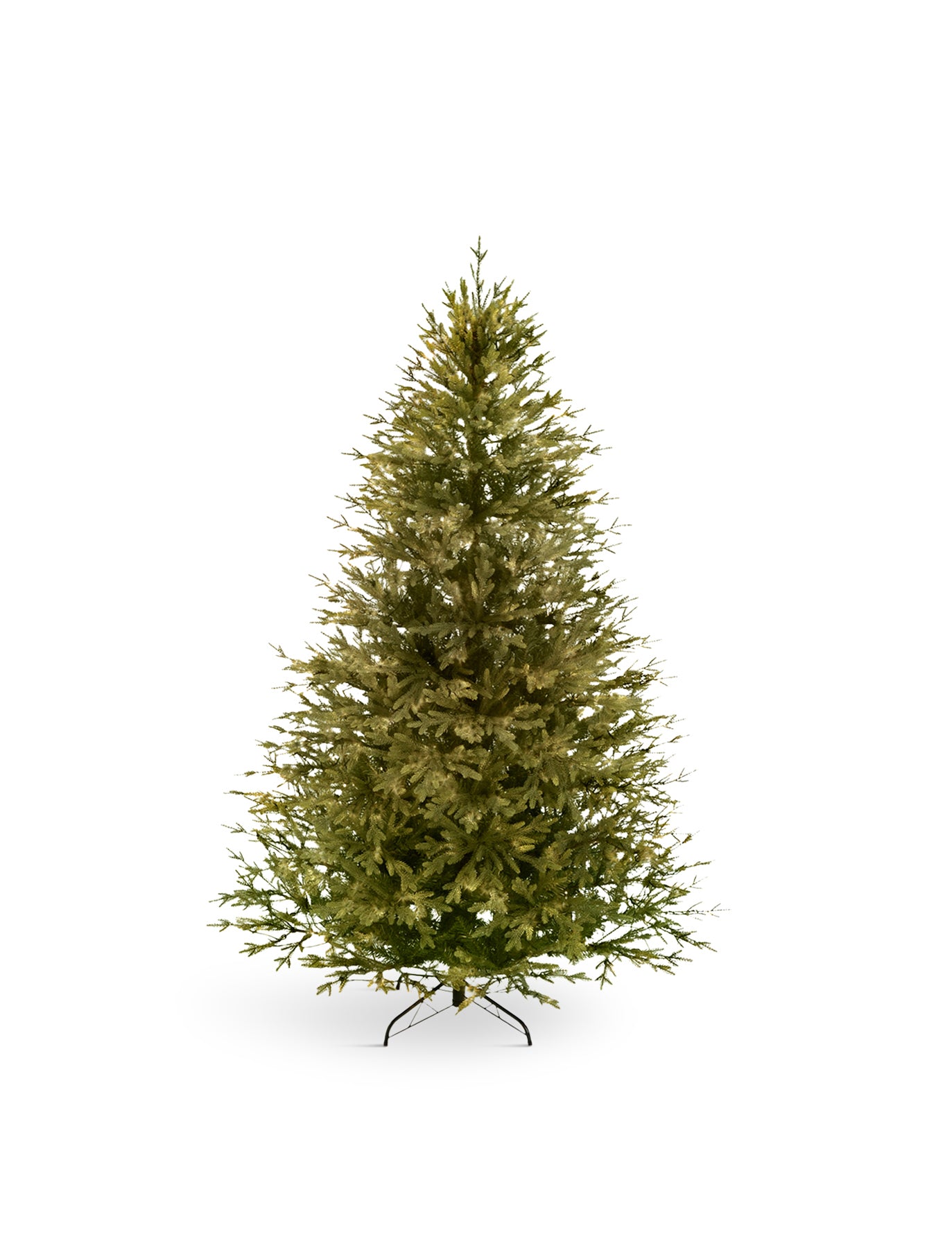 Rocky Mountain Pine Christmas Tree 6ft