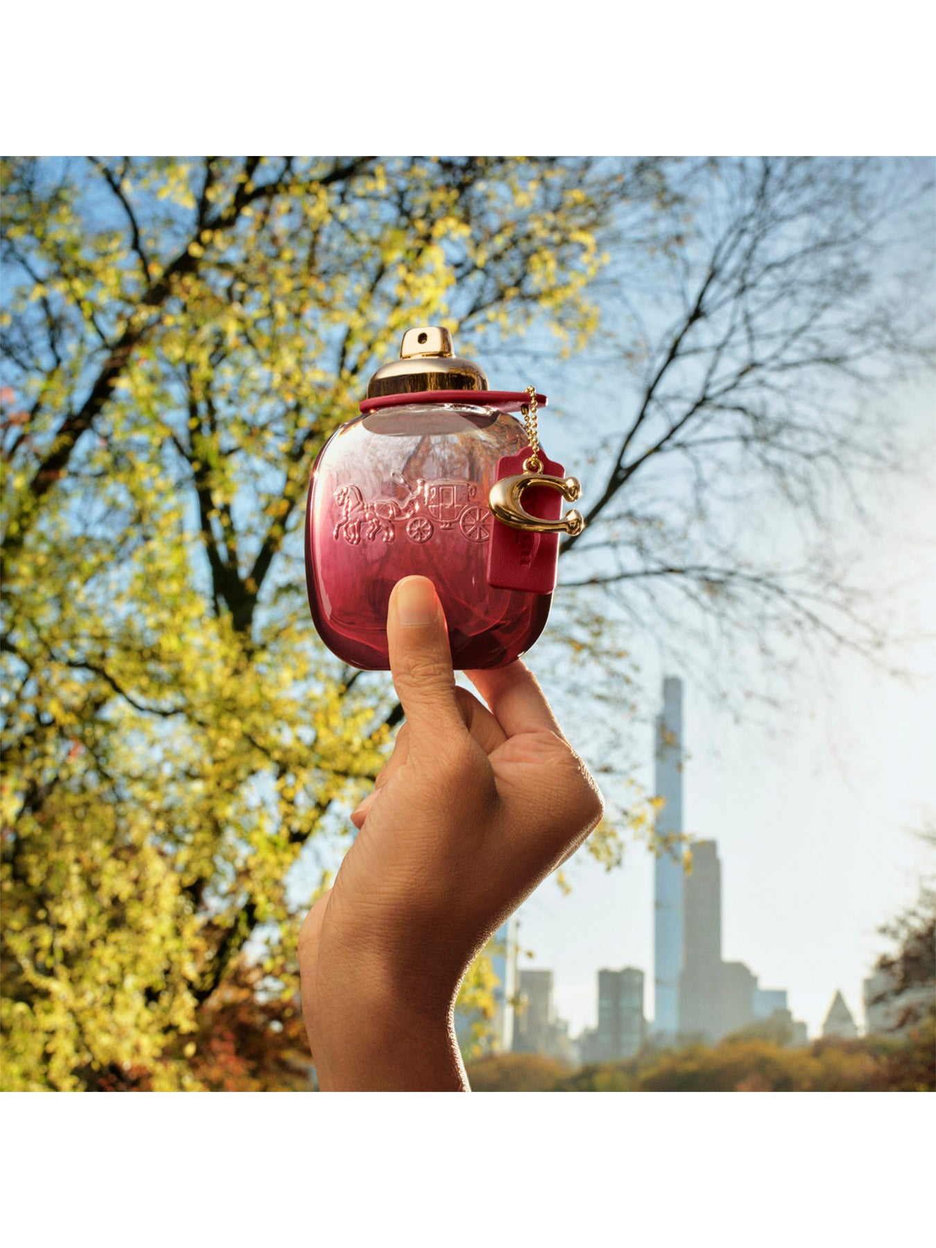 Wild Rose Eau de Parfum 50ml Set