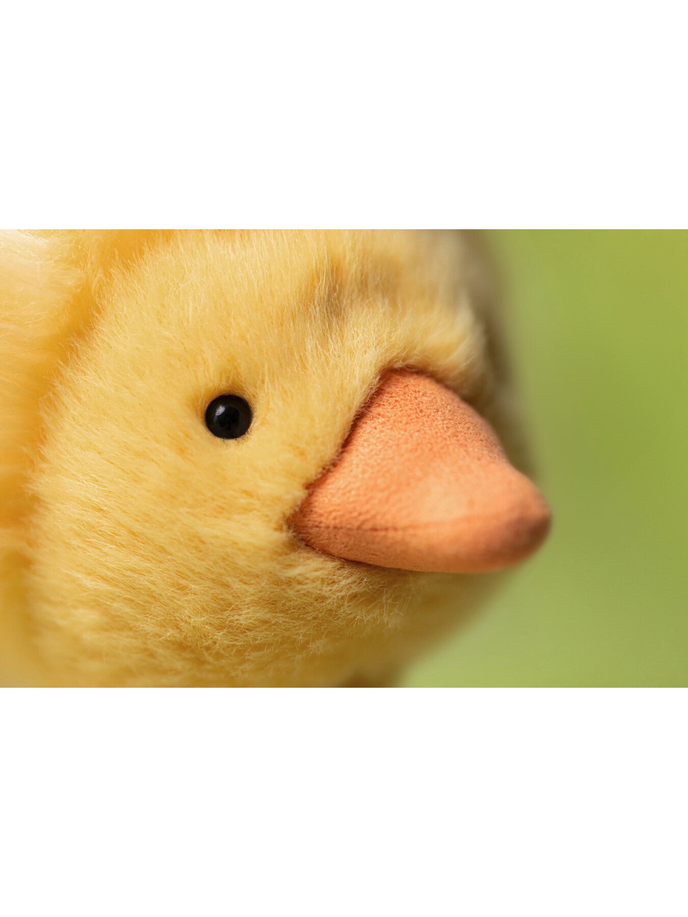  Dorit Duckling あひる Jellycat - Dorit Duckling