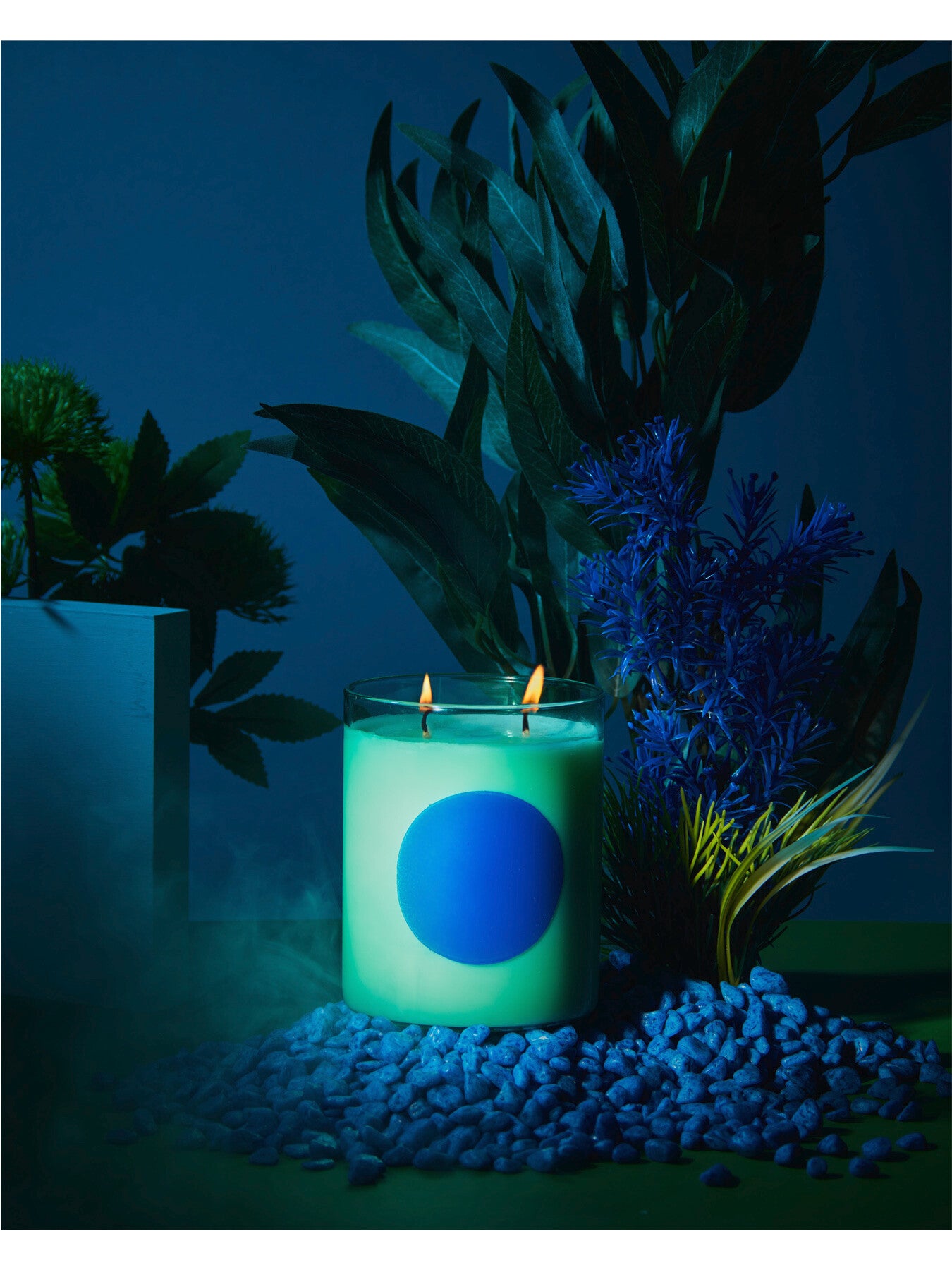 Basil & Sweet Lime Disco Candle 475g