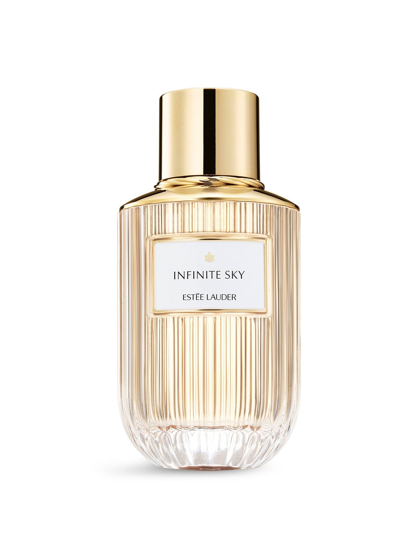 Refillable Infinite Sky Eau de Parfum 100ml
