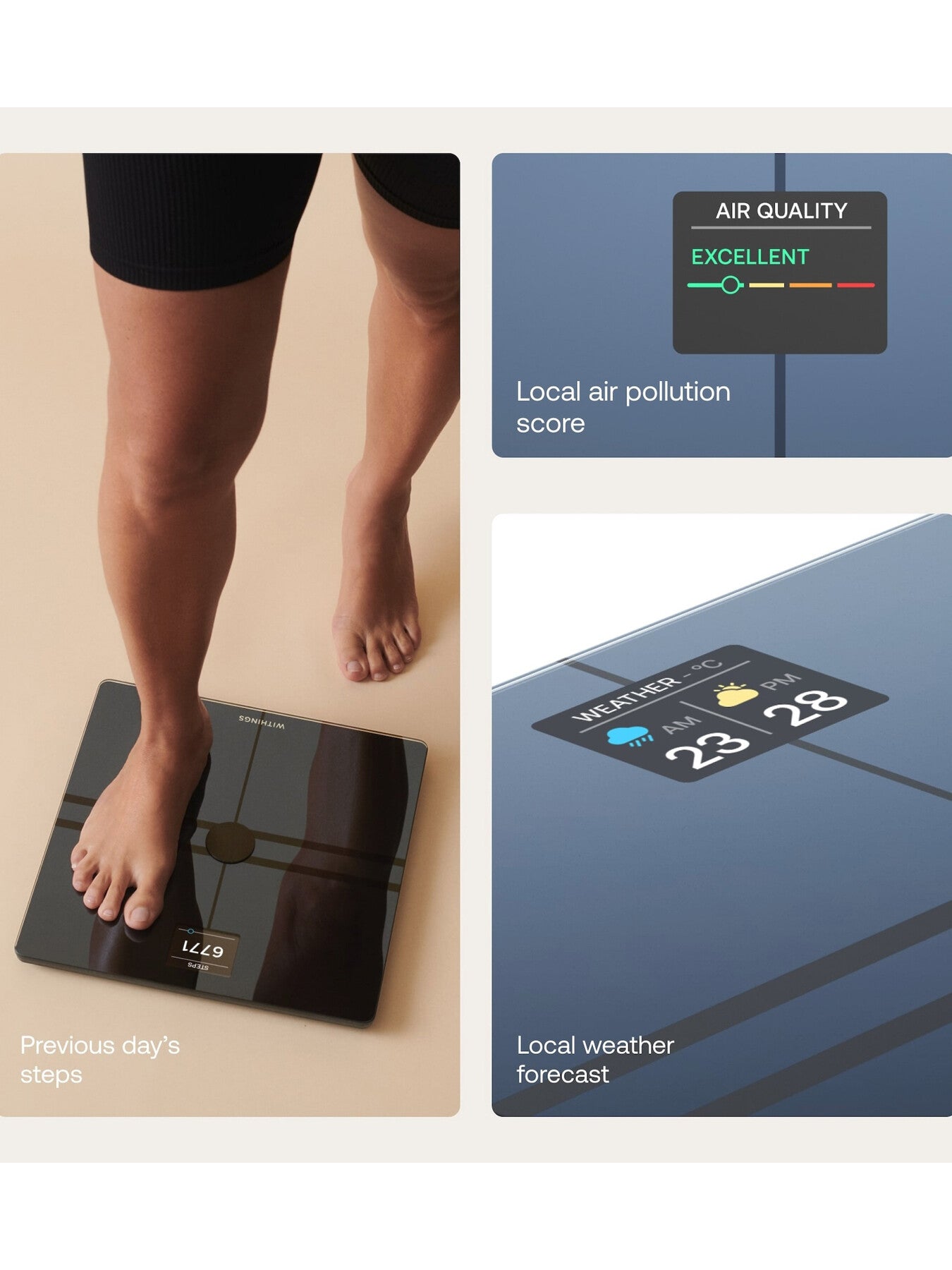 Body Comp Scale Black