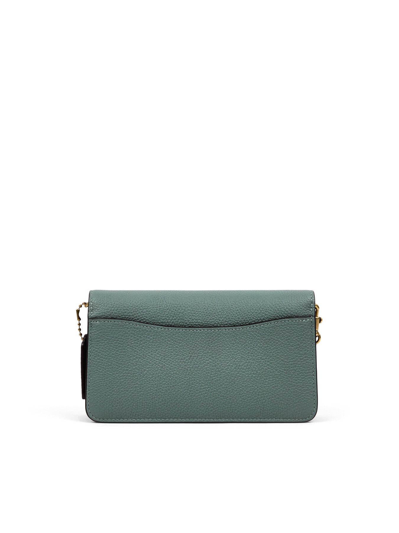 Tabby Chain Crossbody Clutch Bag