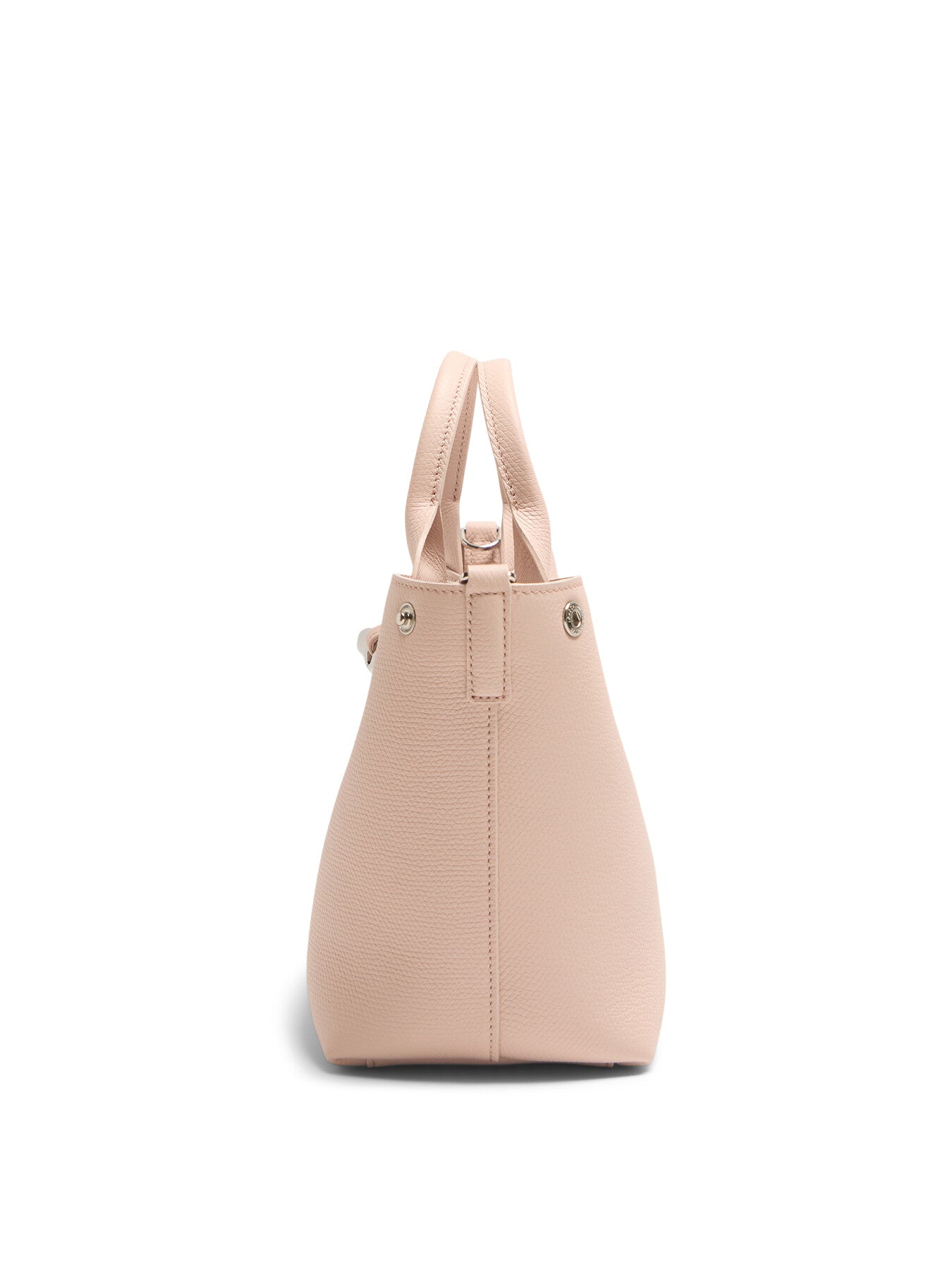 Le Roseau Small Handbag