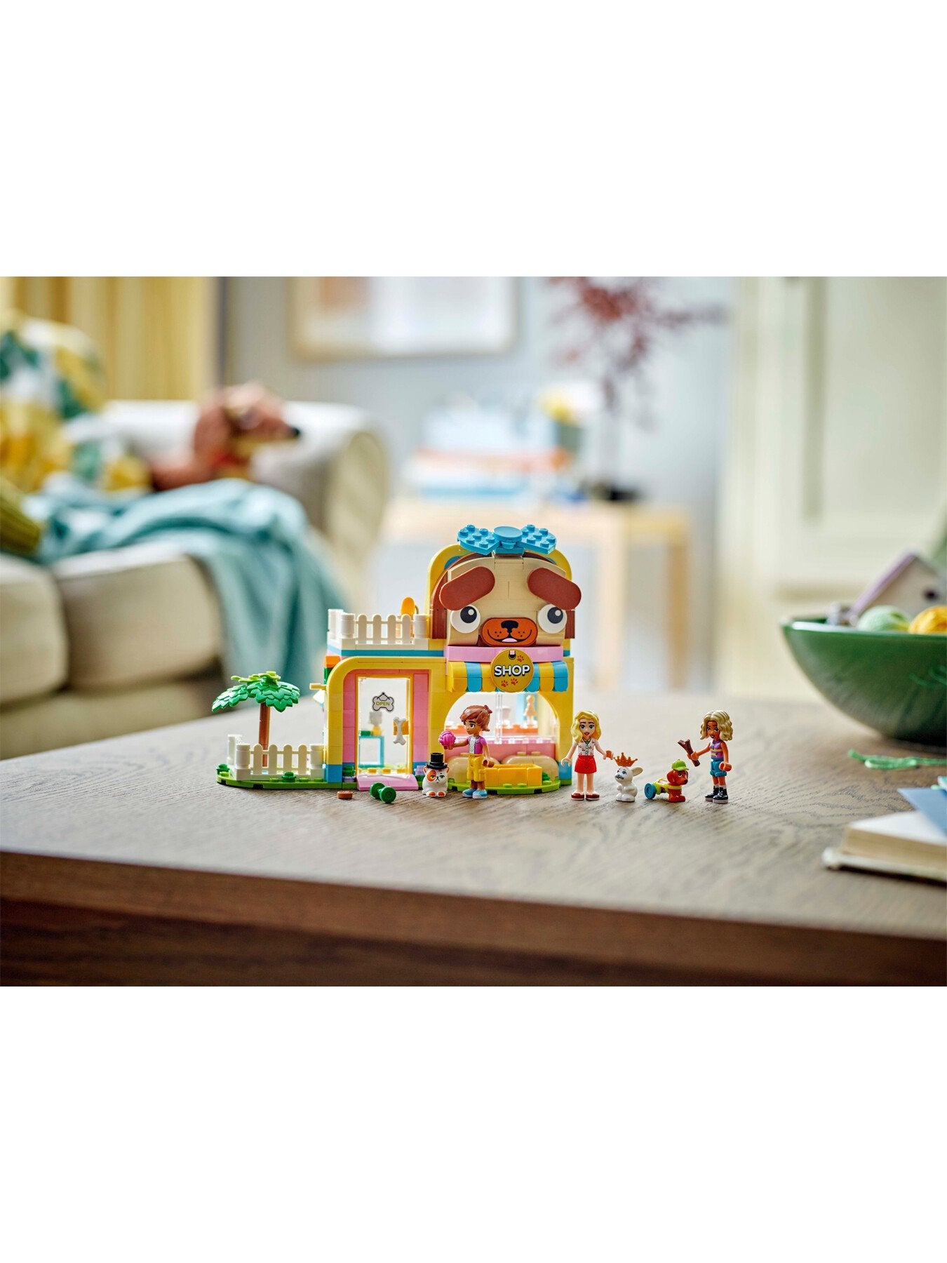Pet Accessories Shop 42650