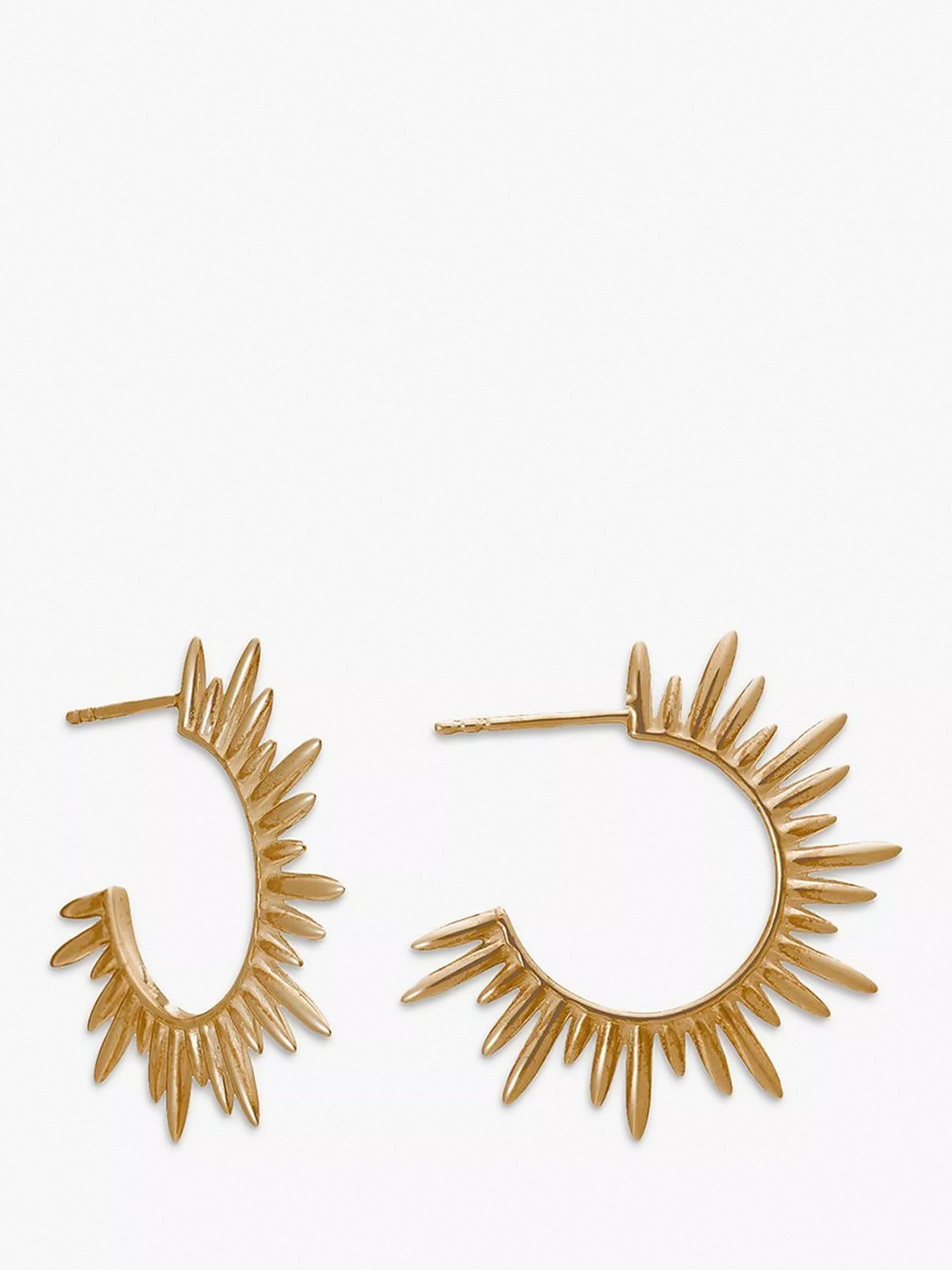 Electric Goddess Medium Hoop Earrings
