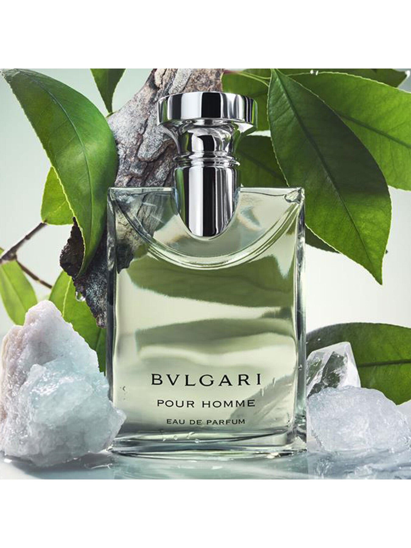 Pour Homme Eau de Parfum 50ml