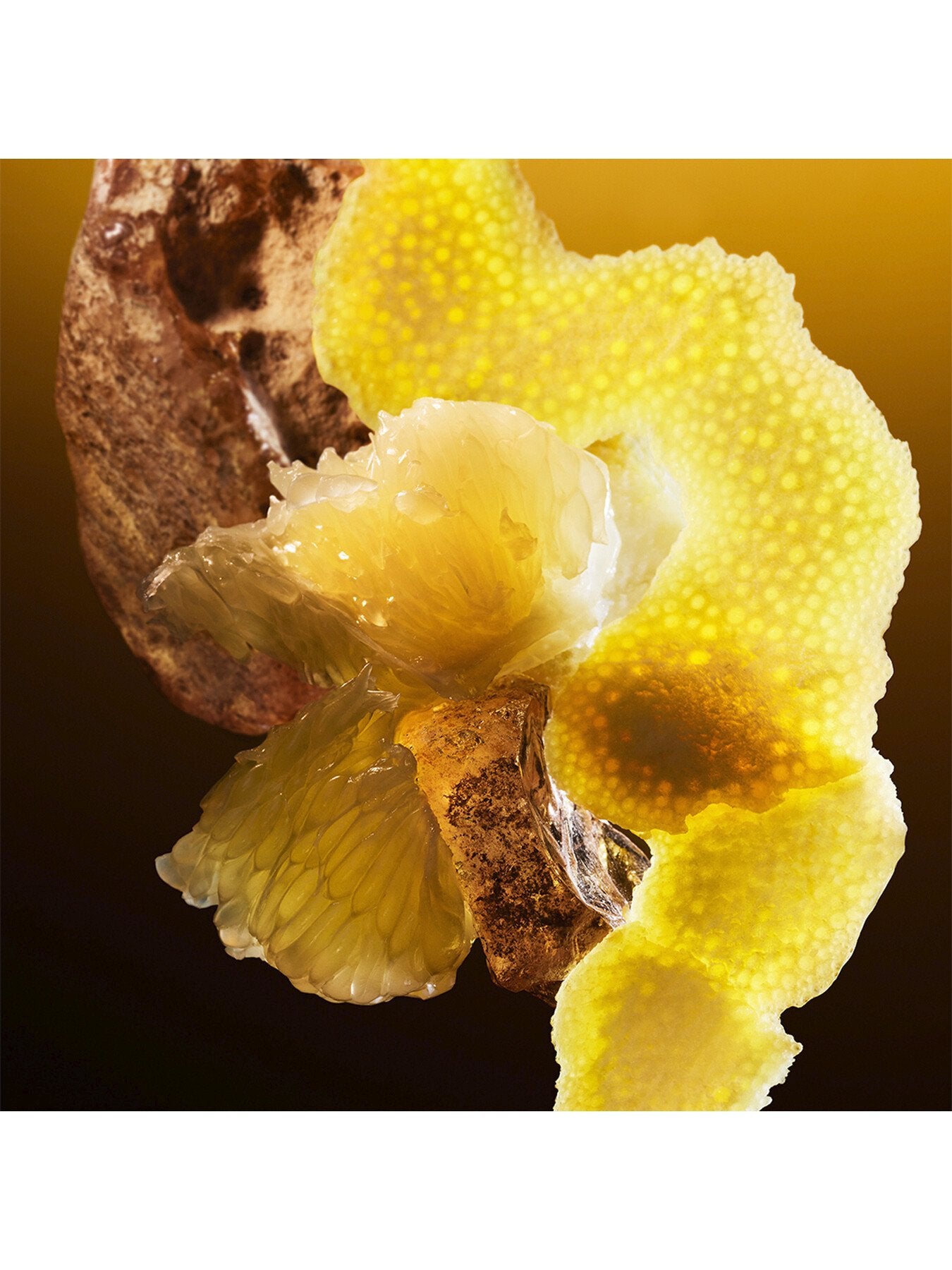 Le Gemme Tygar Eau de Parfum 60ml