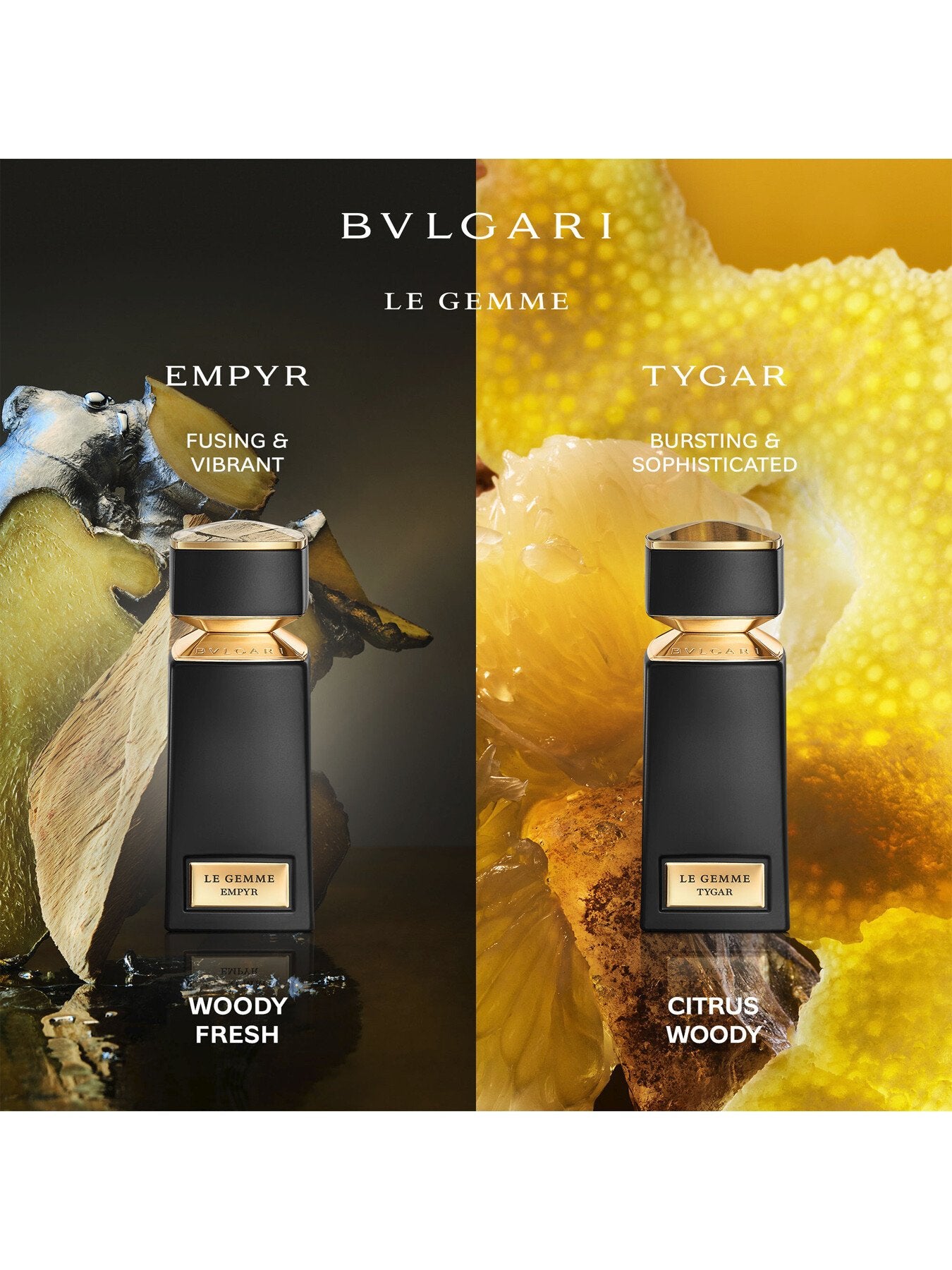 Le Gemme Tygar Eau de Parfum 60ml – Fenwick