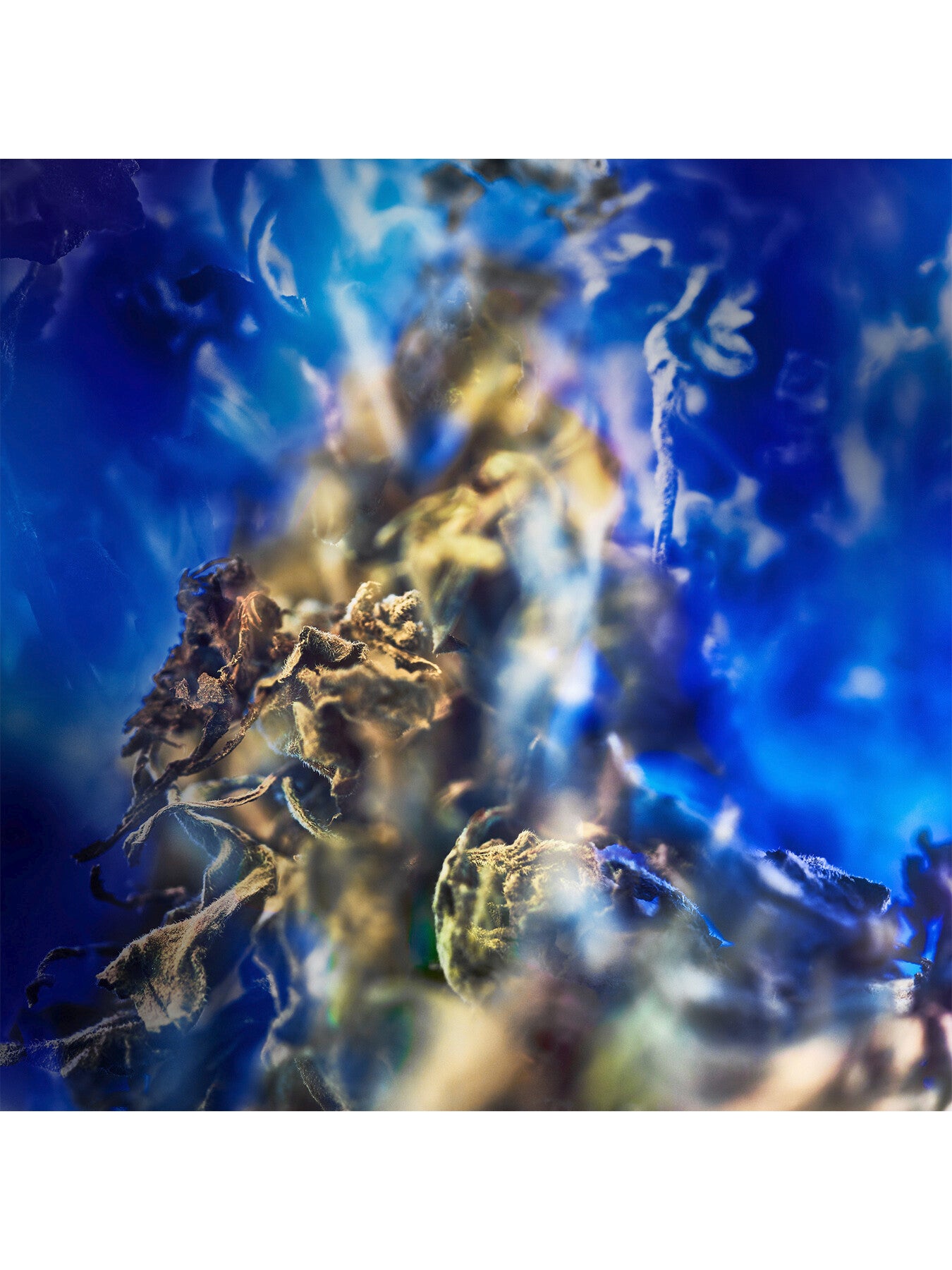 Le Gemme Gyan Eau de Parfum 125ml