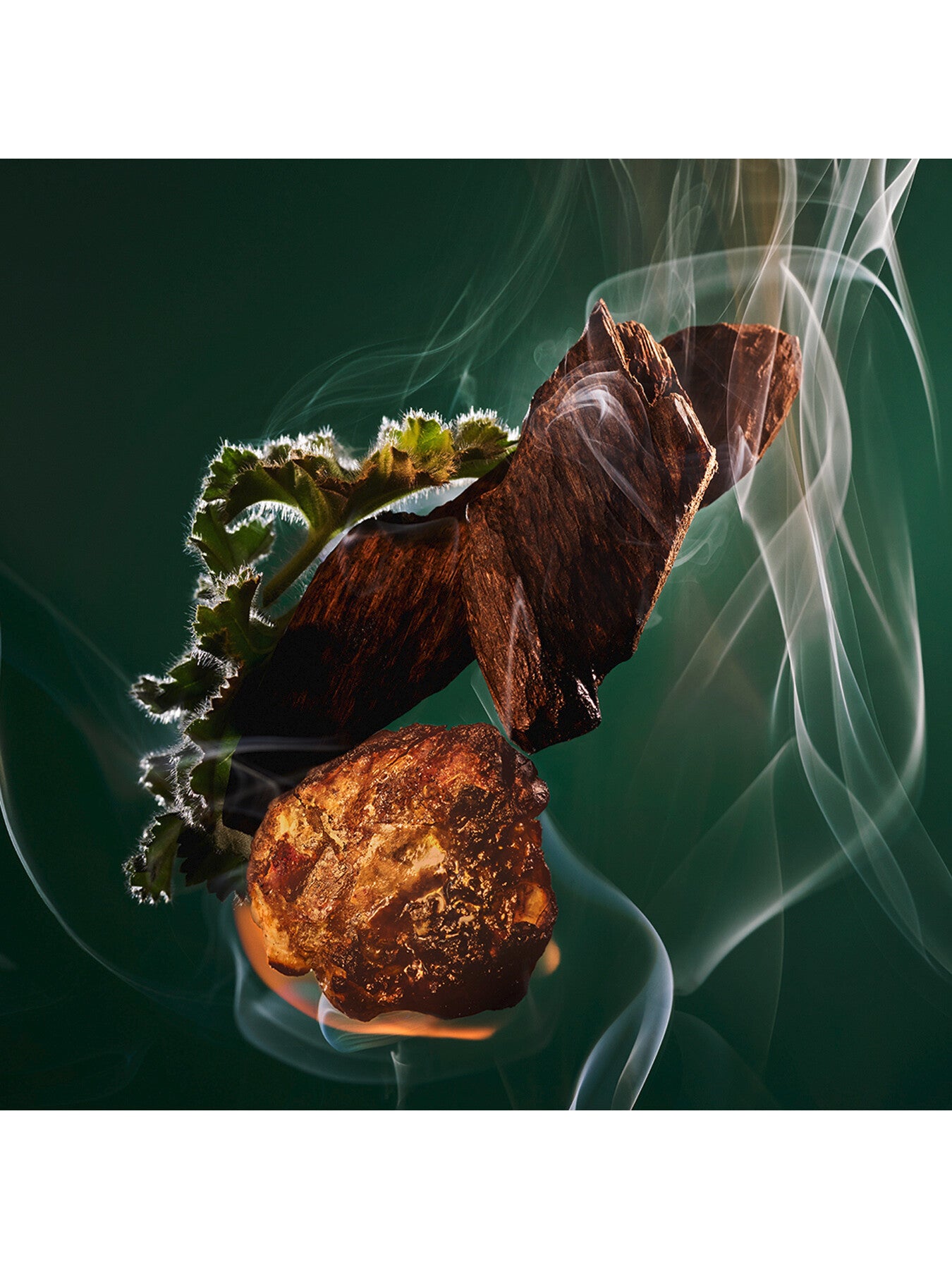 Le Gemme Kobraa Eau de Parfum 125ml